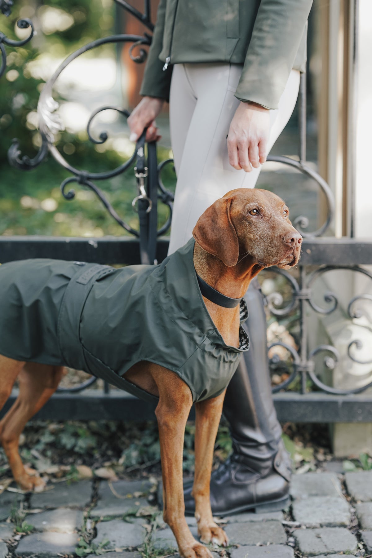 Eskadron Hunter x ESKADRON RAINSHIELD Dog Raincoat Dog Accesories