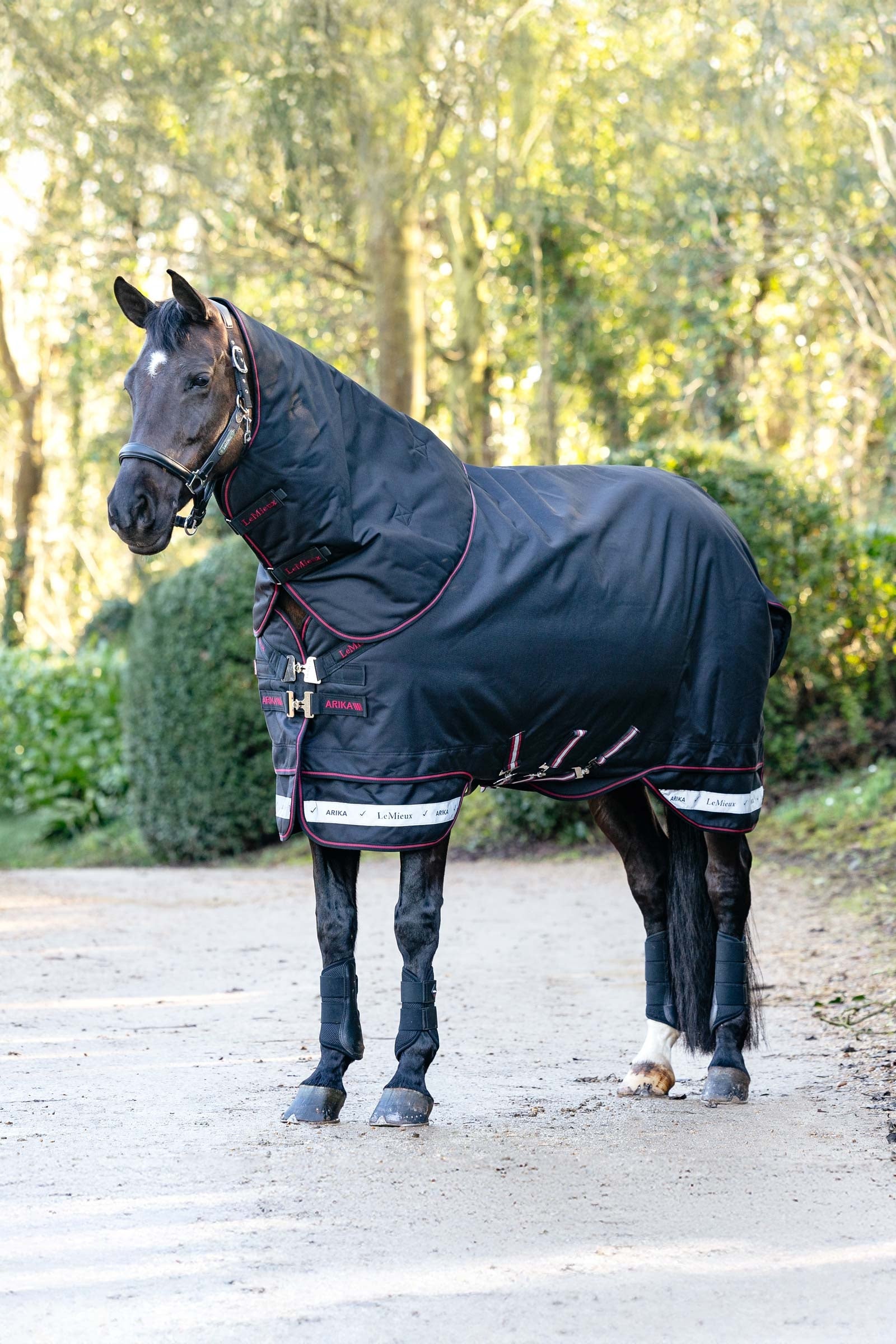 LeMieux Arika Storm-Tek coperta da esterno con collo rimovibile, 200 g Coperte per cavalli