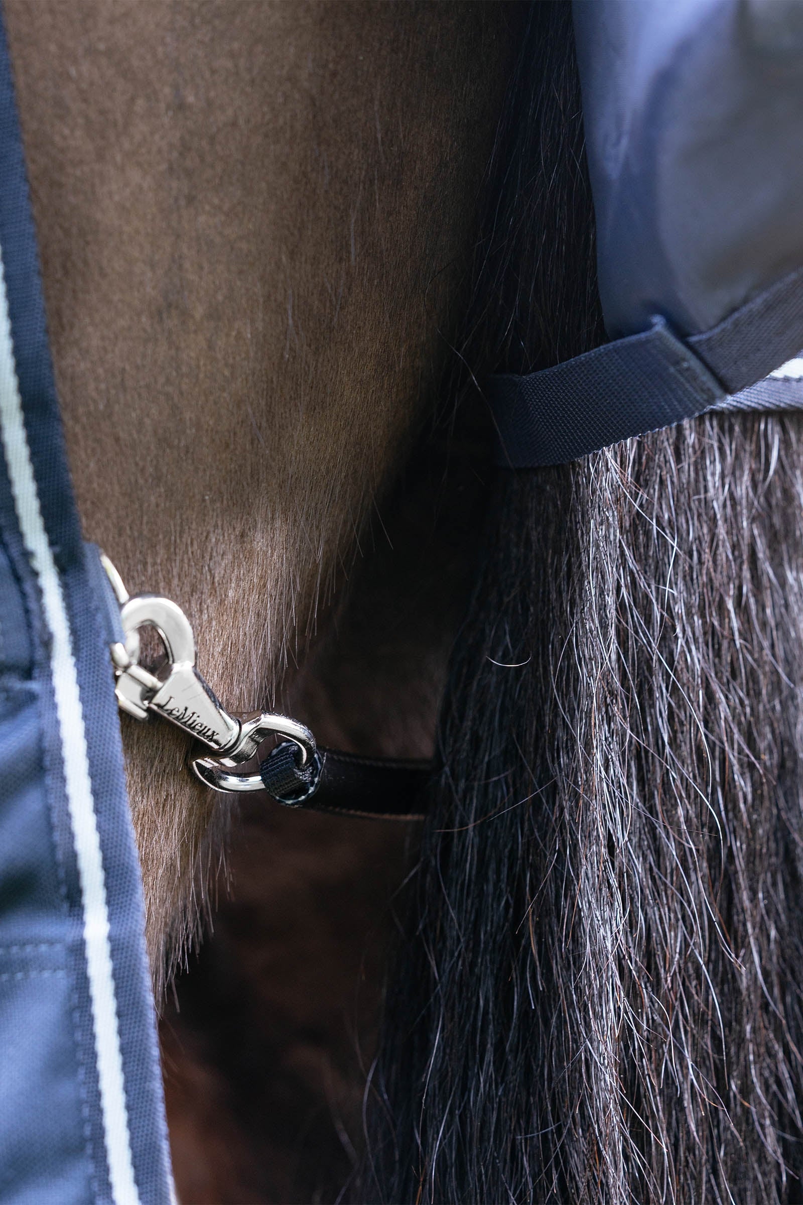 LeMieux Arika Storm-Tek Rug With Detachable Neck, 200 g Horse Rugs