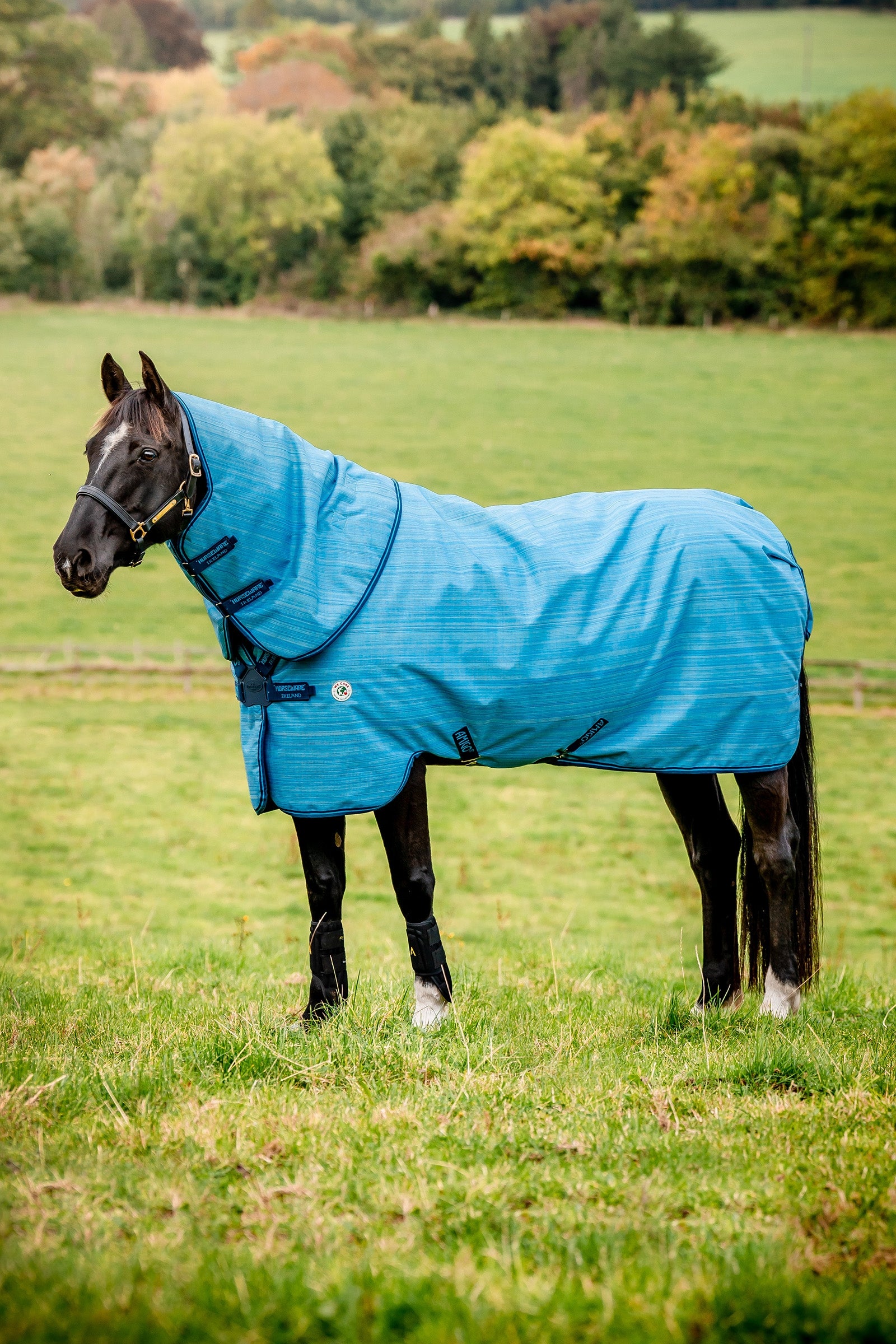 Horseware Amigo Hero 900 Revive Plus Coperta da turnout con collo rimovibile, 200 g Coperte per cavalli