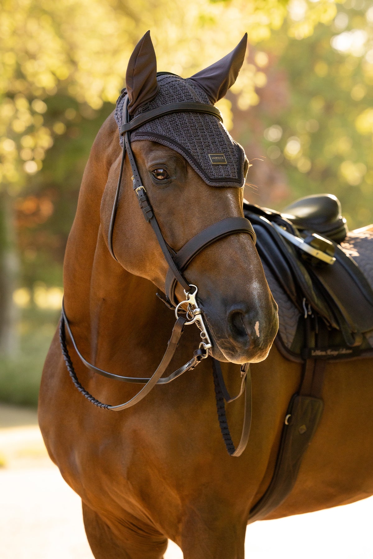 LeMieux Heritage Fly Hood Saddle Pads