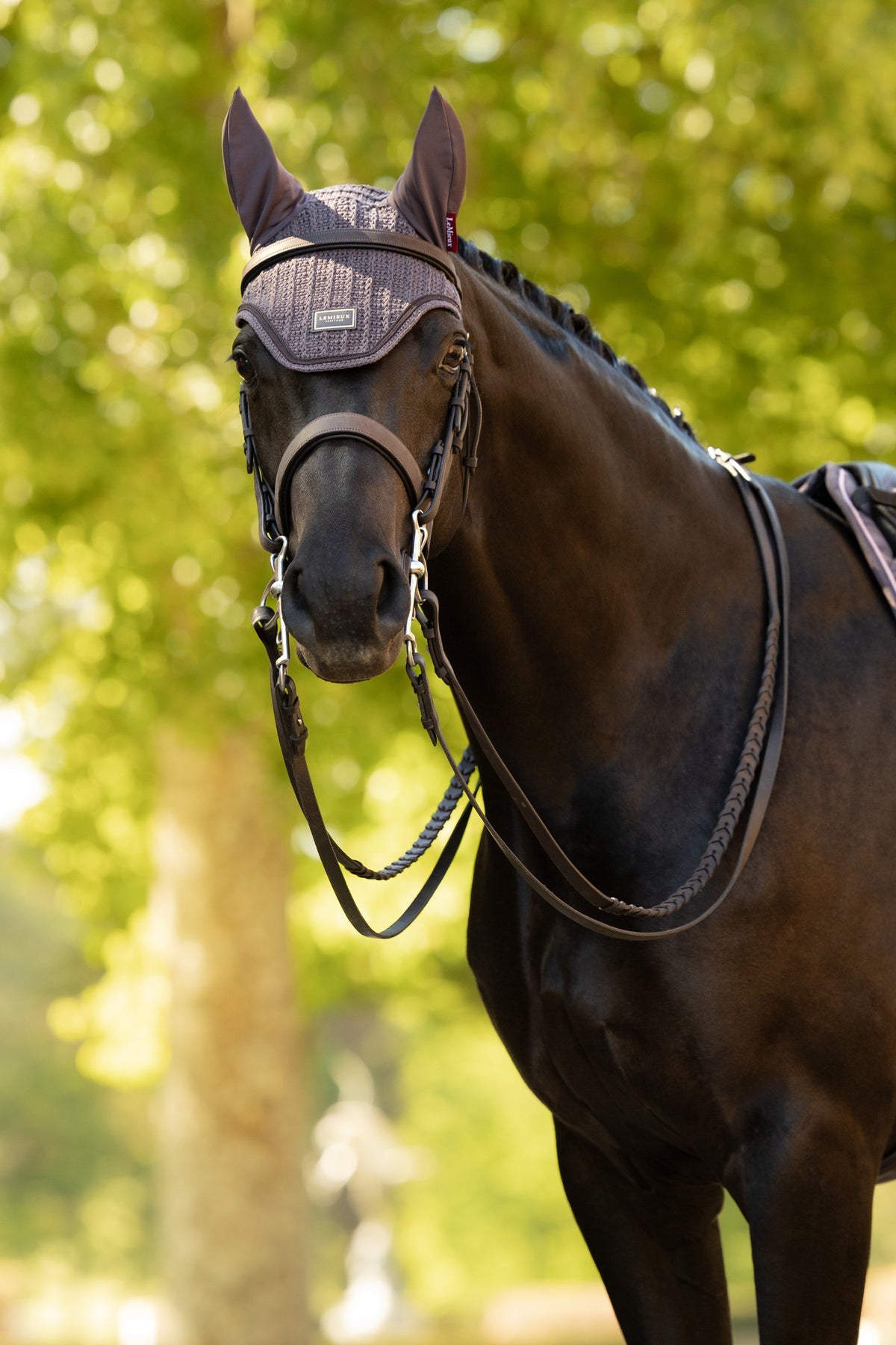 LeMieux Heritage Fly Hood Saddle Pads