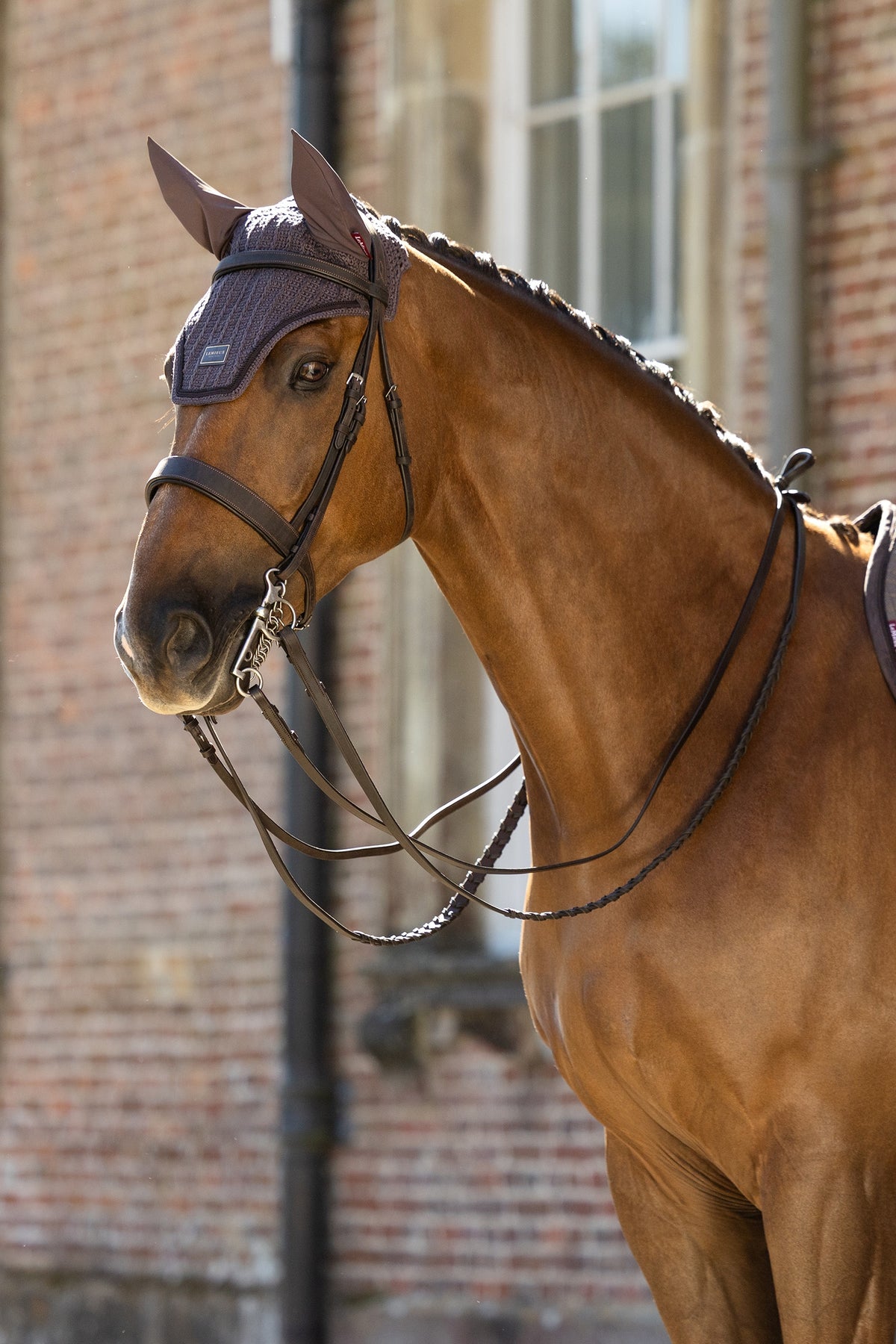 LeMieux Heritage Fly Hood Saddle Pads