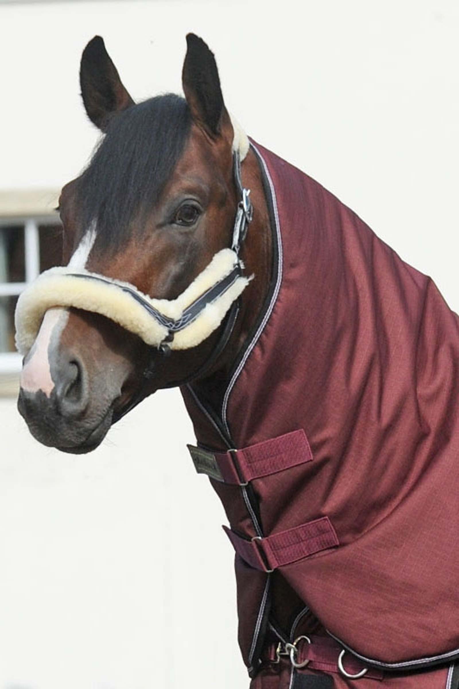 Kavalkade Collo per Alaska IV, 100 g Coperte per cavalli