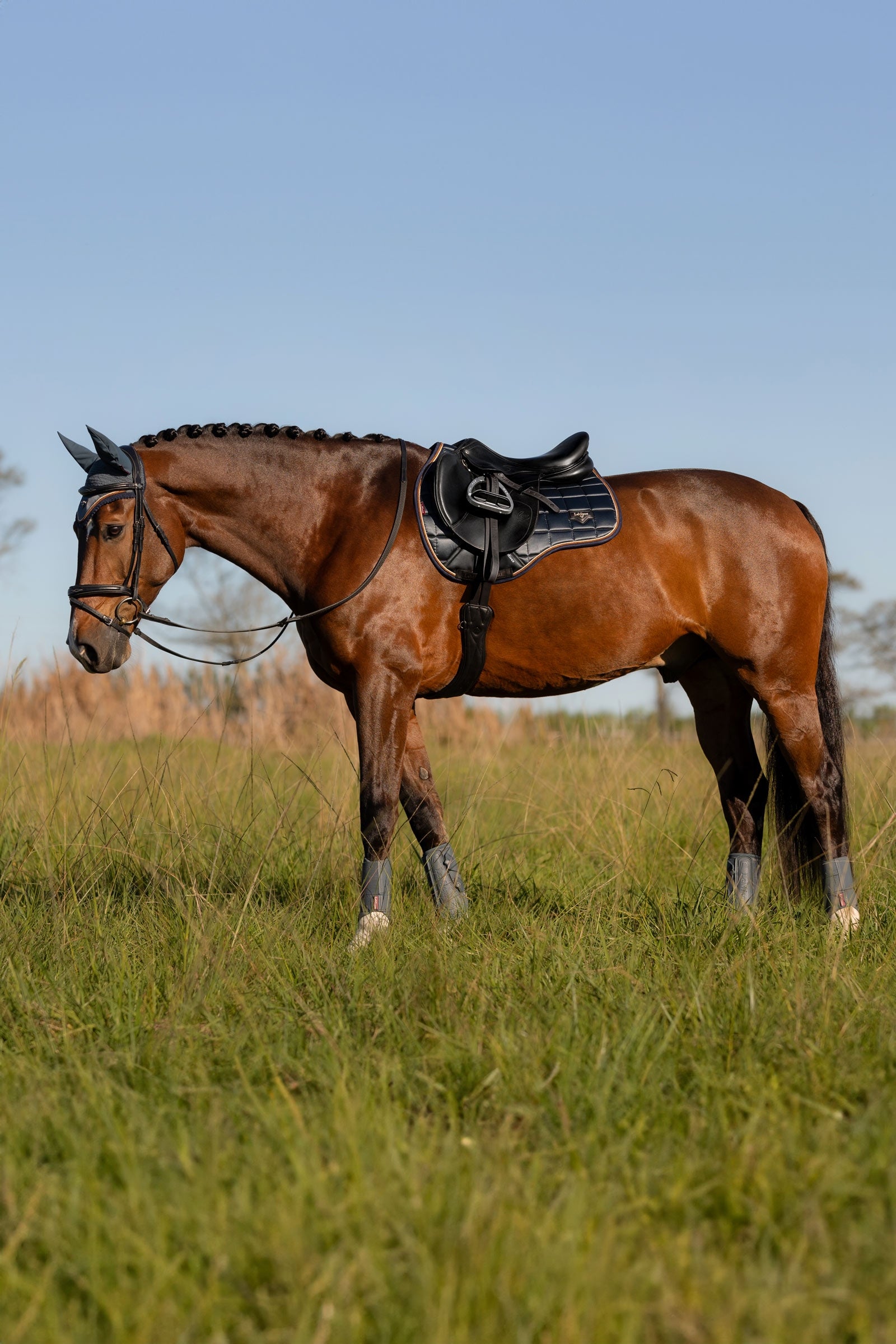LeMieux Loire Classic Square All Purpose Saddle Pad Saddle Pads