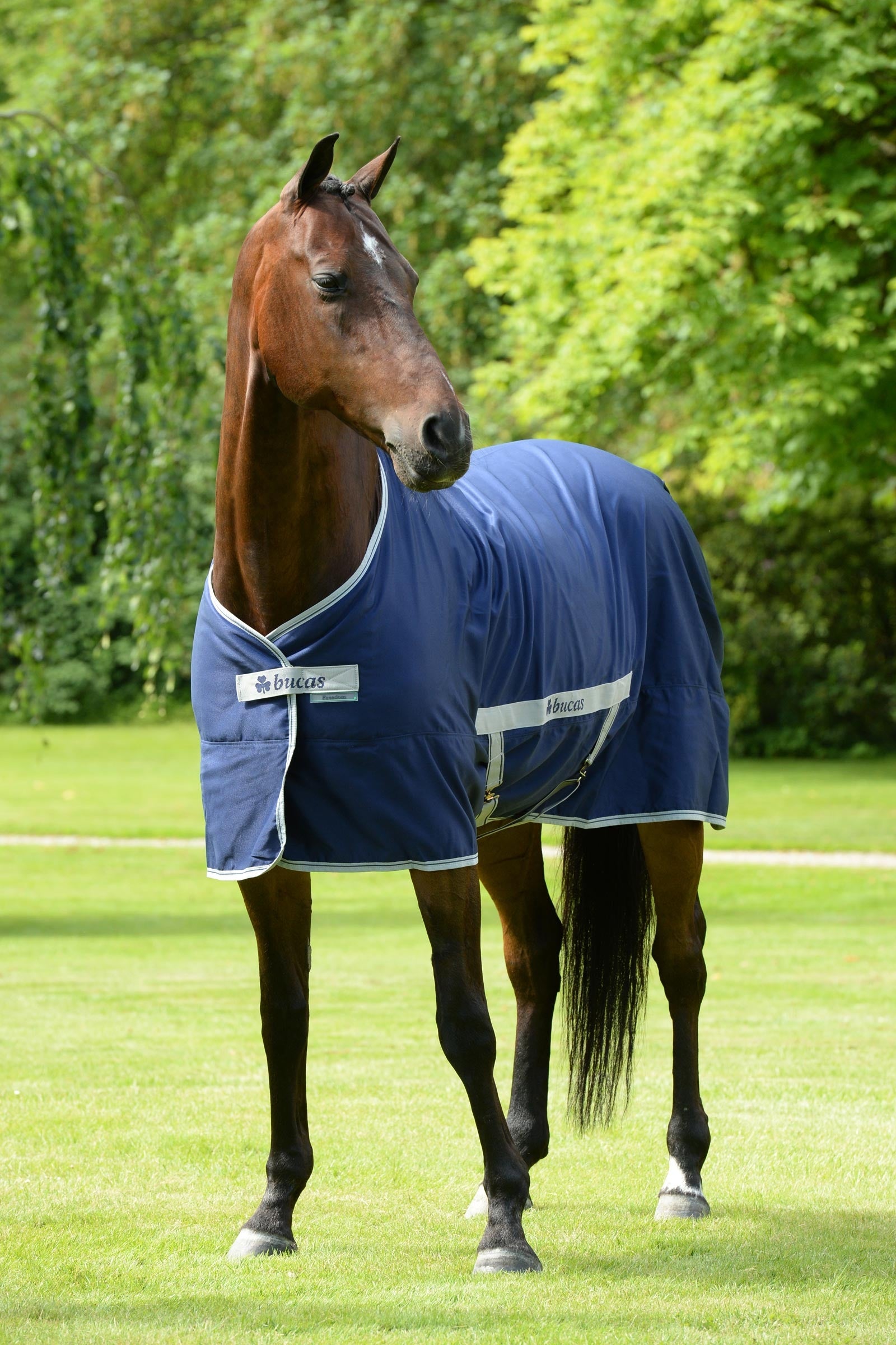 Bucas Freedom Twill Coperta da stalla, 0 g Coperte per cavalli
