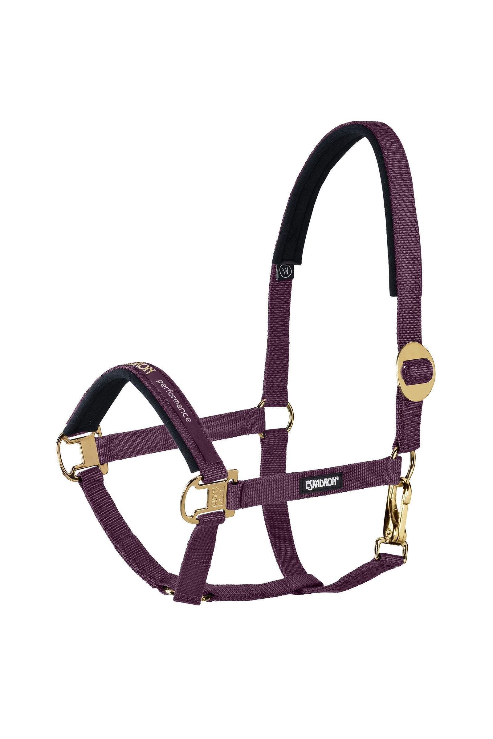 Eskadron Halter sliding Buckle Cavezze e guinsagli