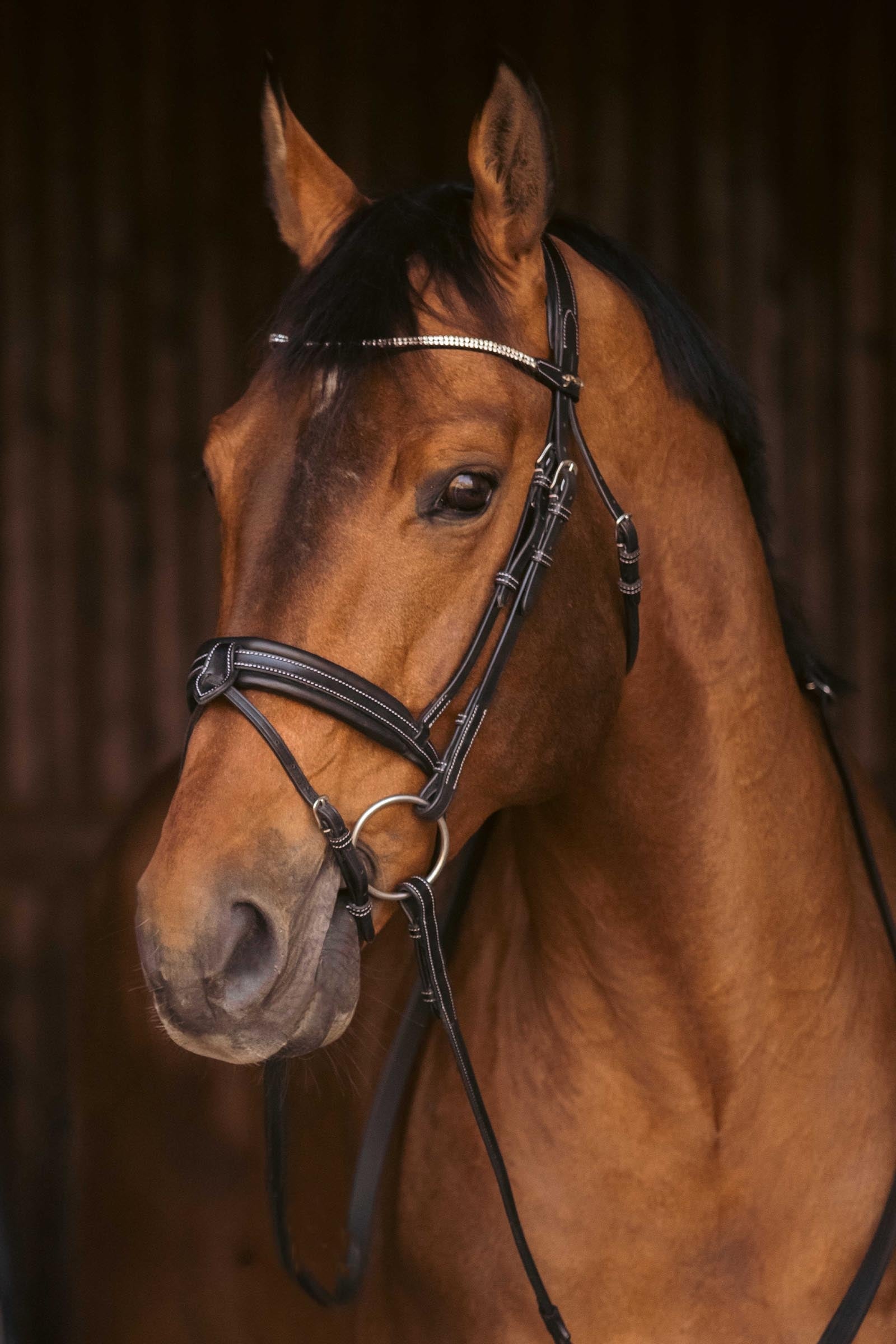 PENELOPE Daily Strass Bridle Bridles & Reins