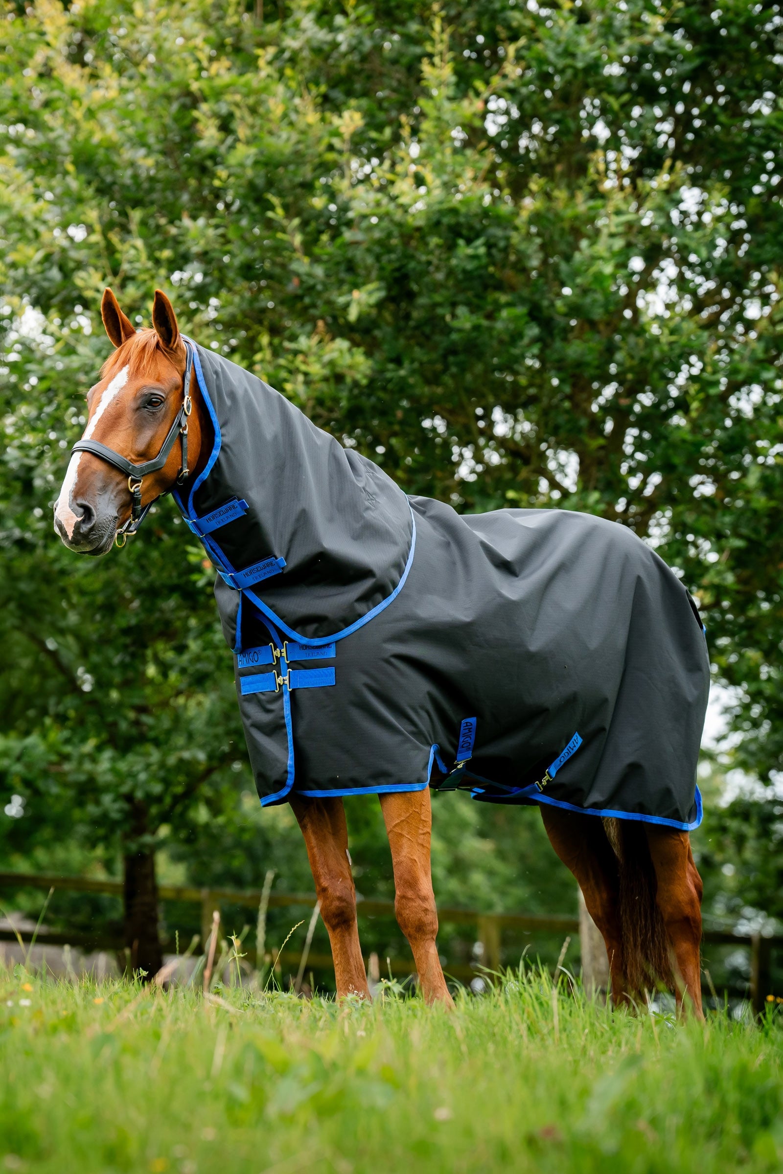 Horseware Amigo Ripstop 900D Plus coperta da esterno, 0 g Coperte per cavalli