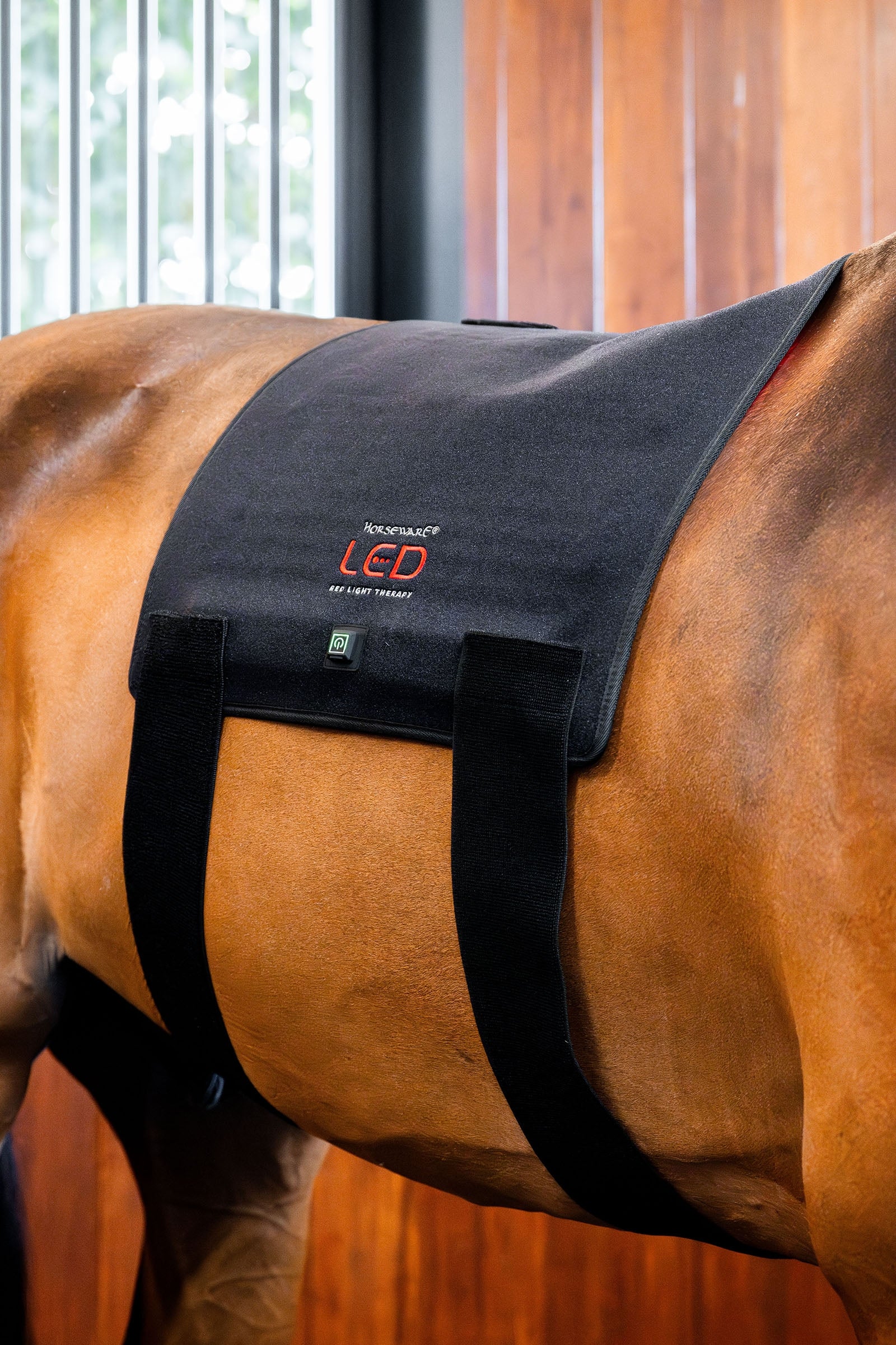 Horseware Pad terapeutico a LED con luce rossa Coperte per cavalli
