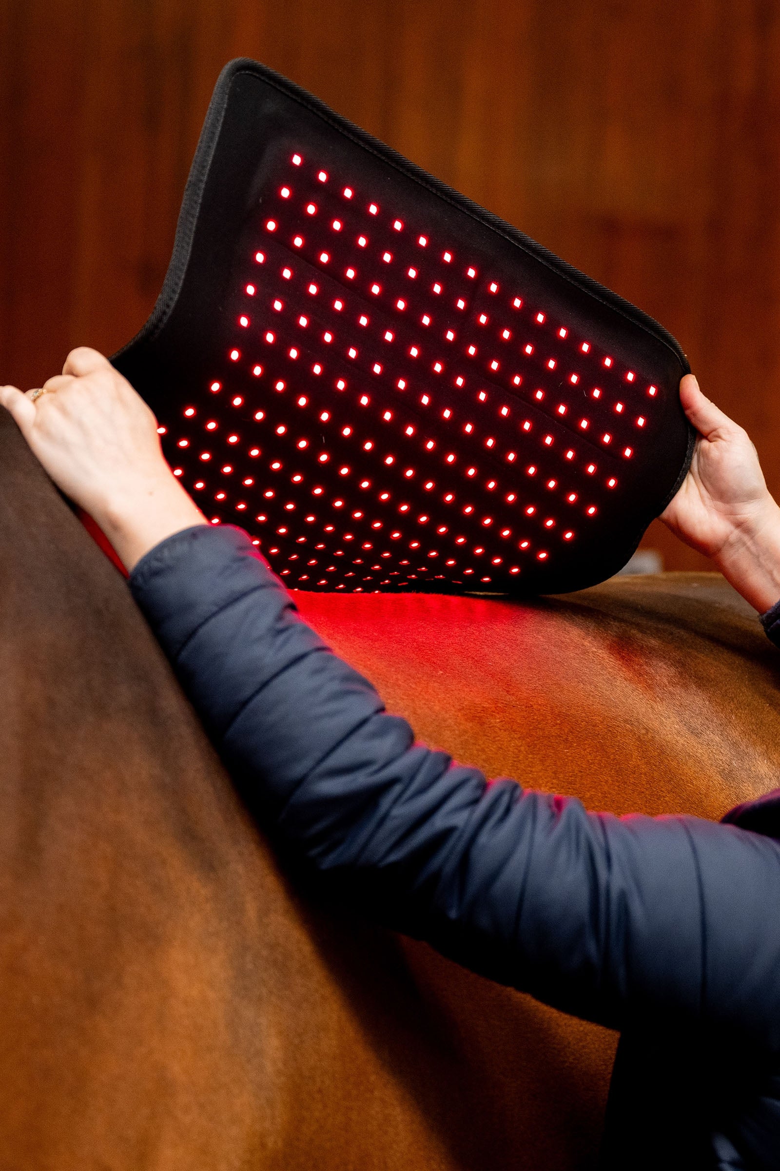 Horseware LED Red Light Therapy Pad Horse Rugs