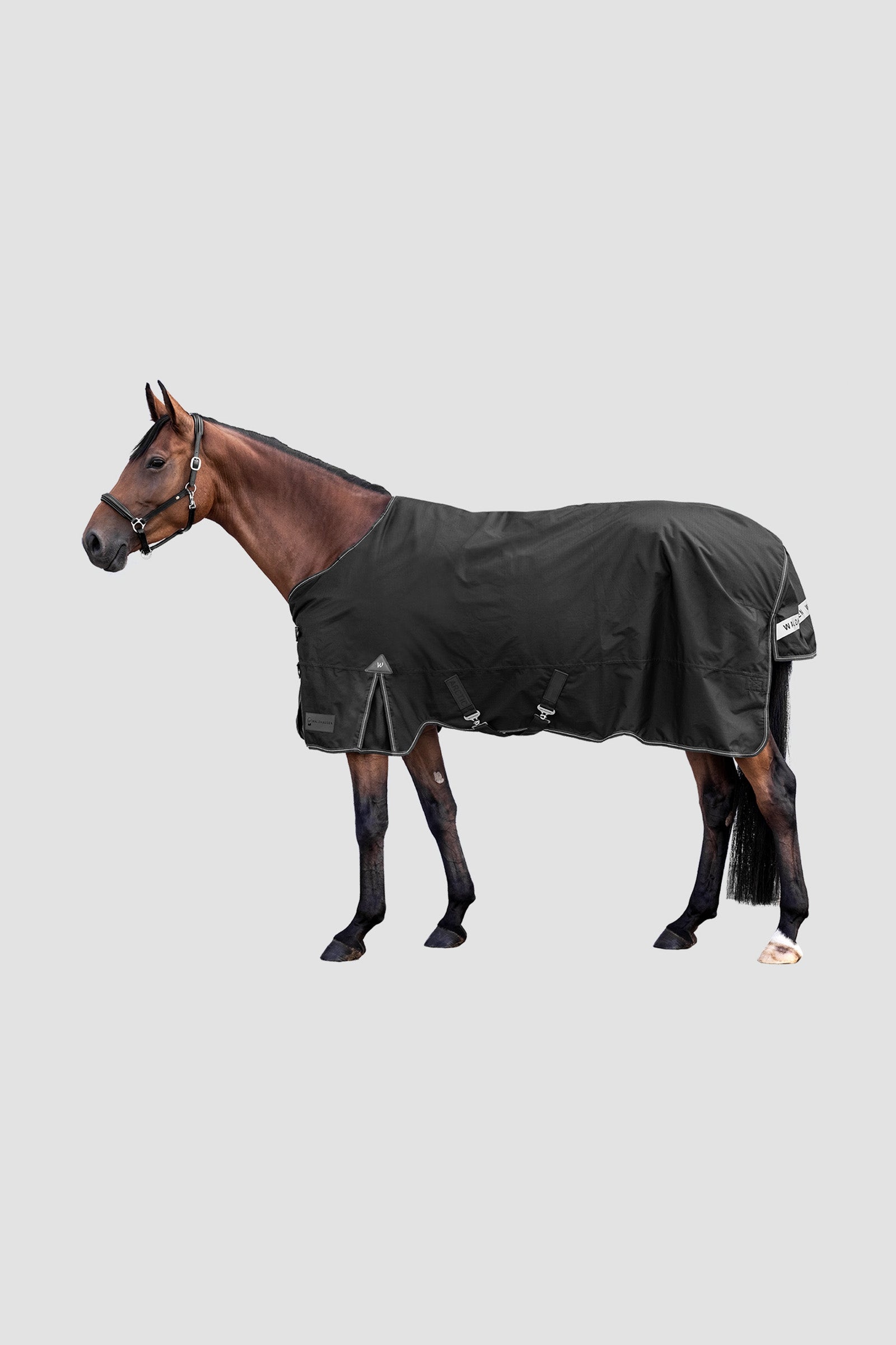 Waldhausen Outdoor Rug Arctic 300 g Coperte per cavalli