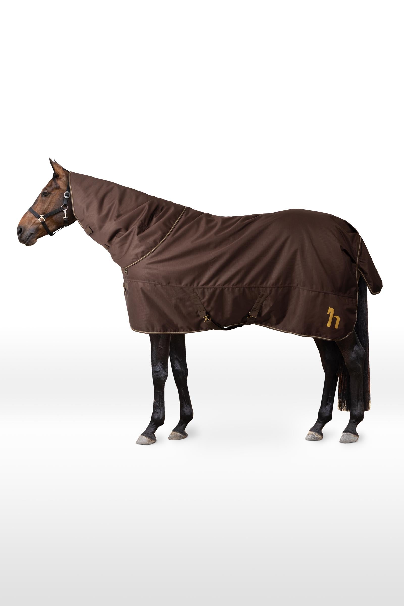 Horze 1200D coperta da paddock con colletto staccabile, 200 g Coperte per cavalli