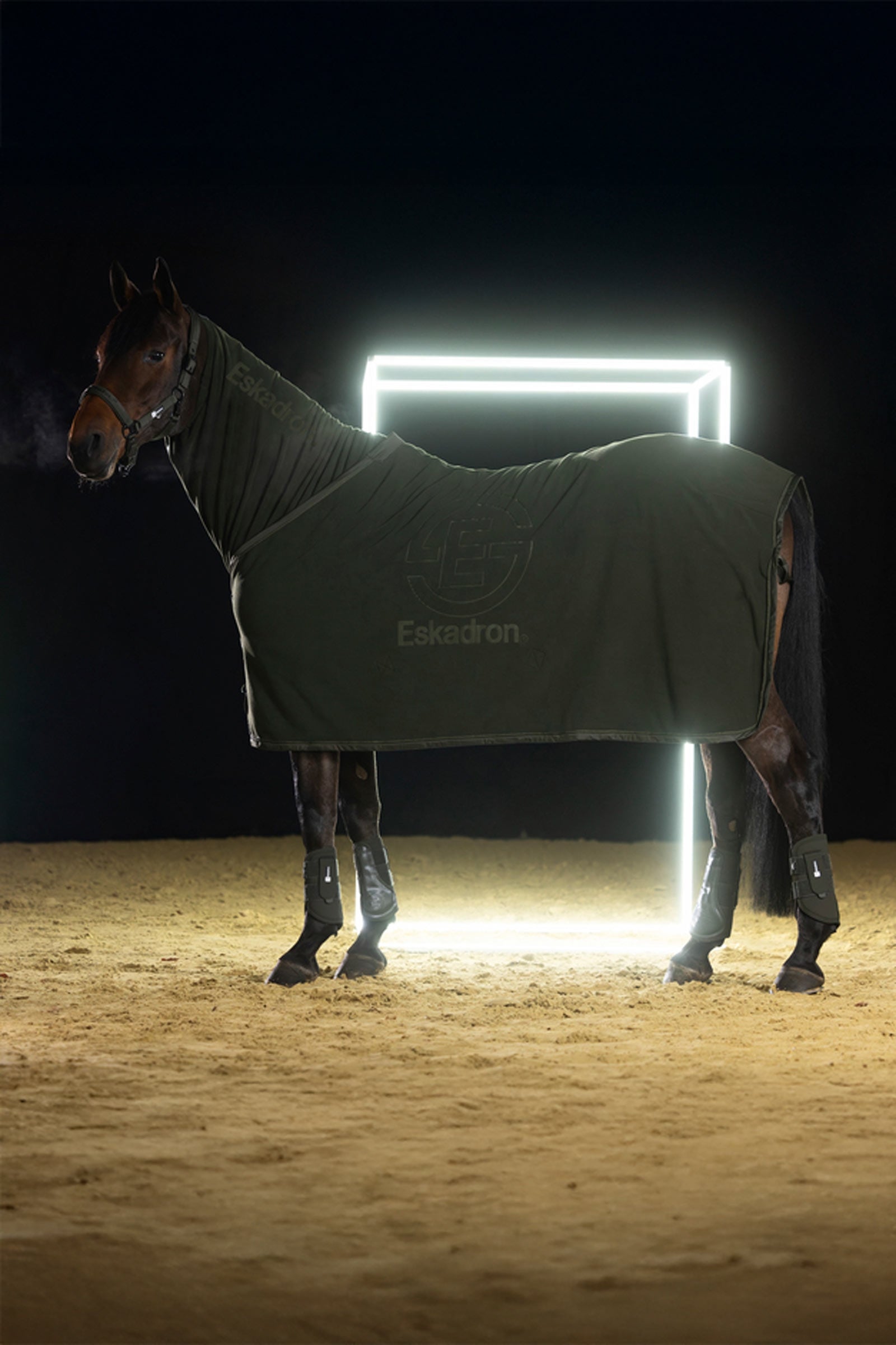 Eskadron Dynamics AW25 Fleece Stamp Sweat Rug Horse Rugs