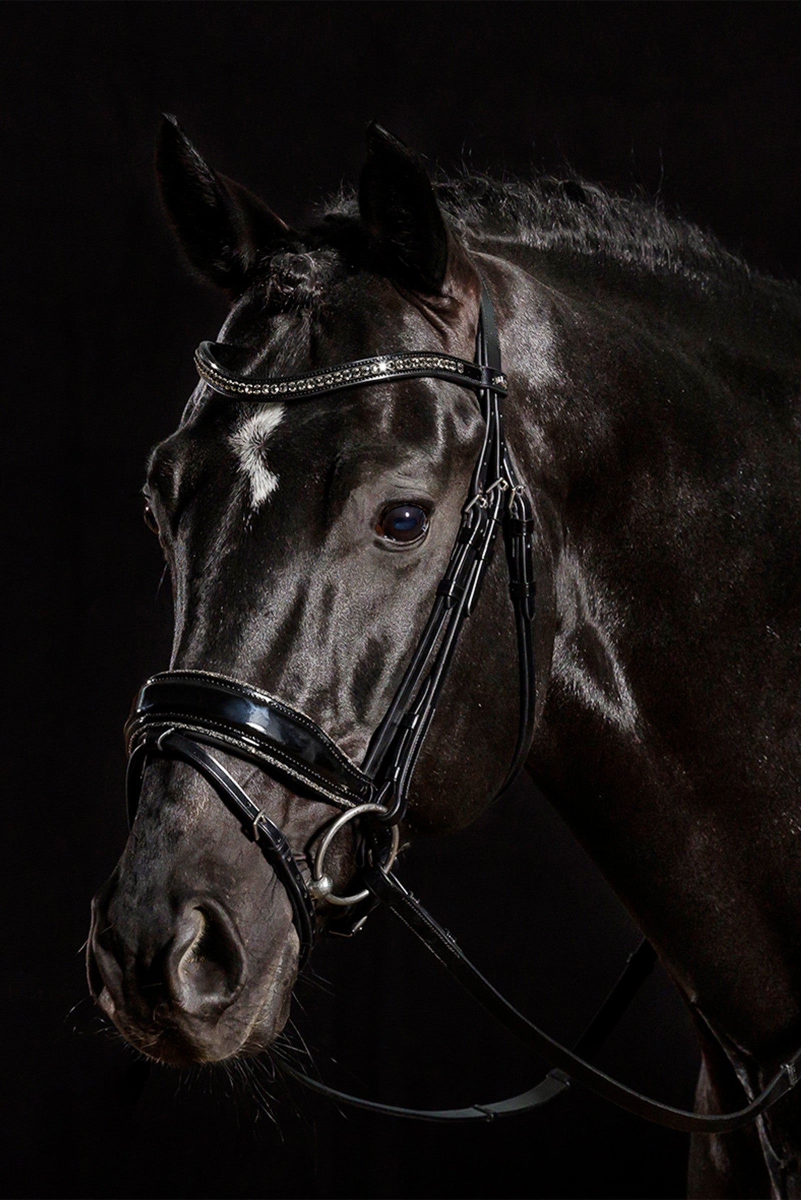 Schockemöhle Sports Stanford Glam Bridle Bridles & Reins