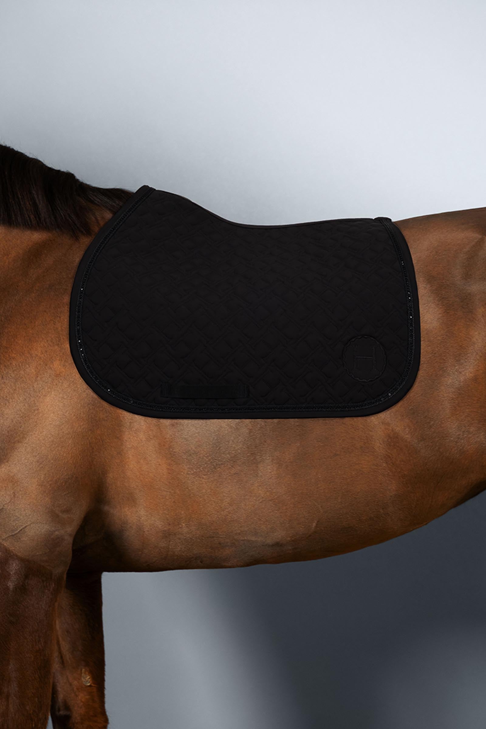 Harcour Saphir sottosella pony Pony e pony Shetland