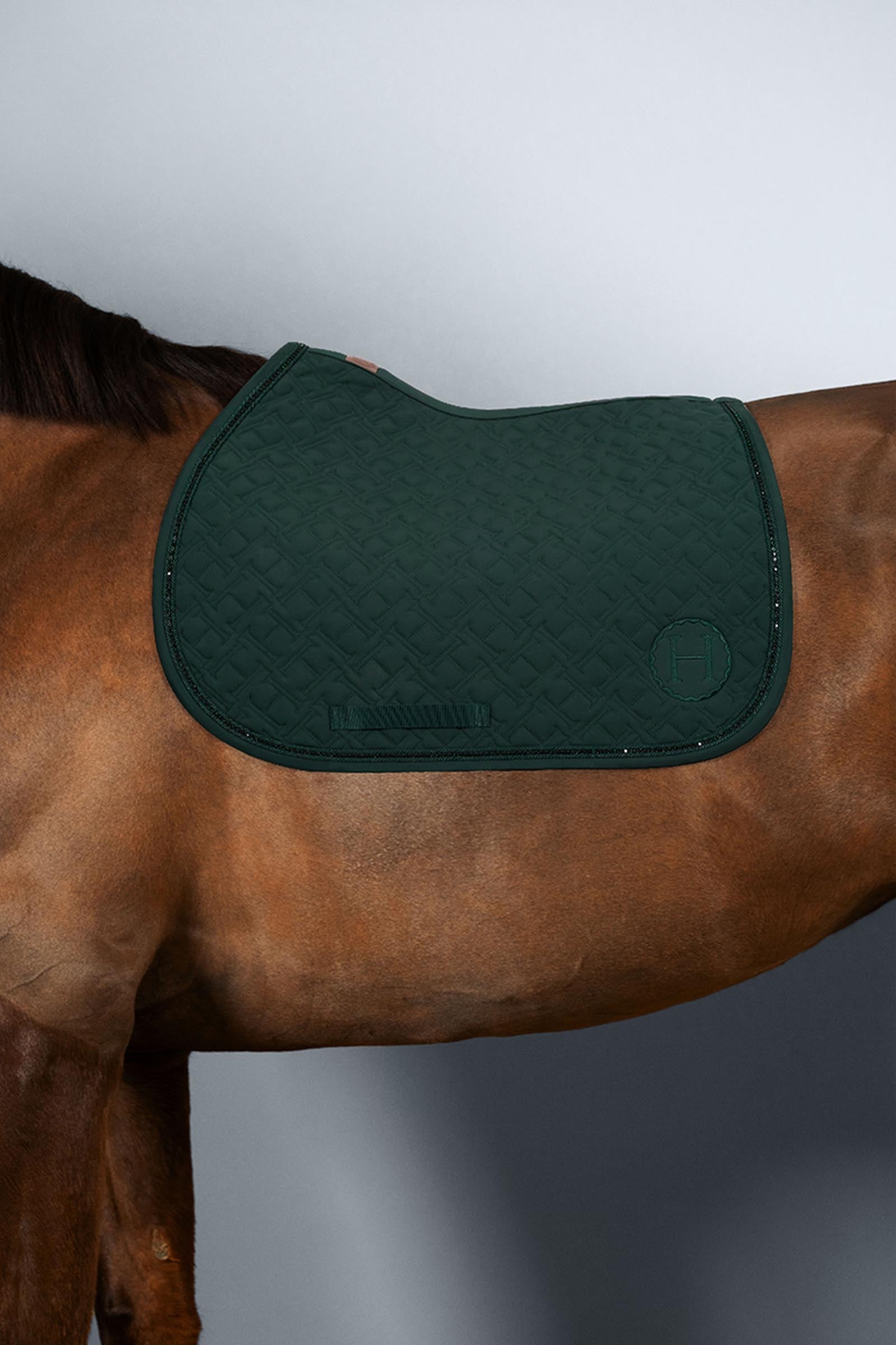 Harcour Saphir sottosella pony Pony e pony Shetland