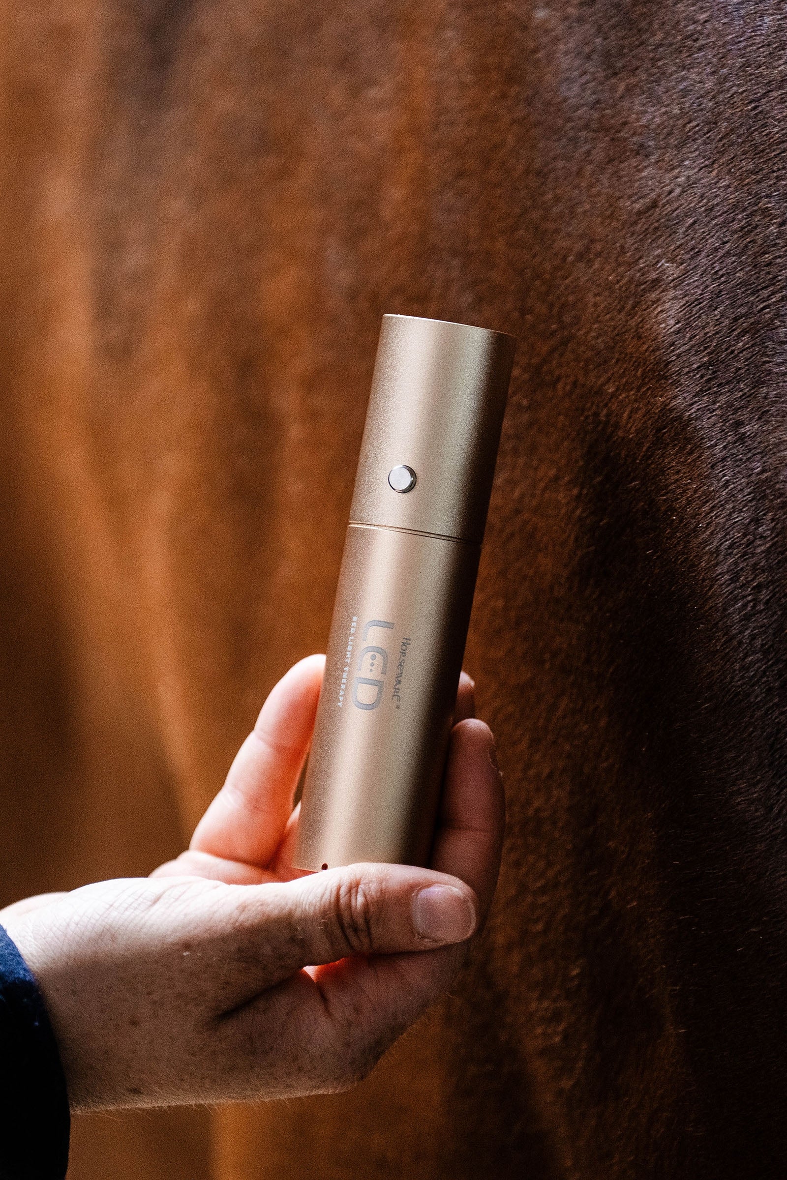 Horseware Bacchetta terapeutica a LED con luce rossa Coperte per cavalli