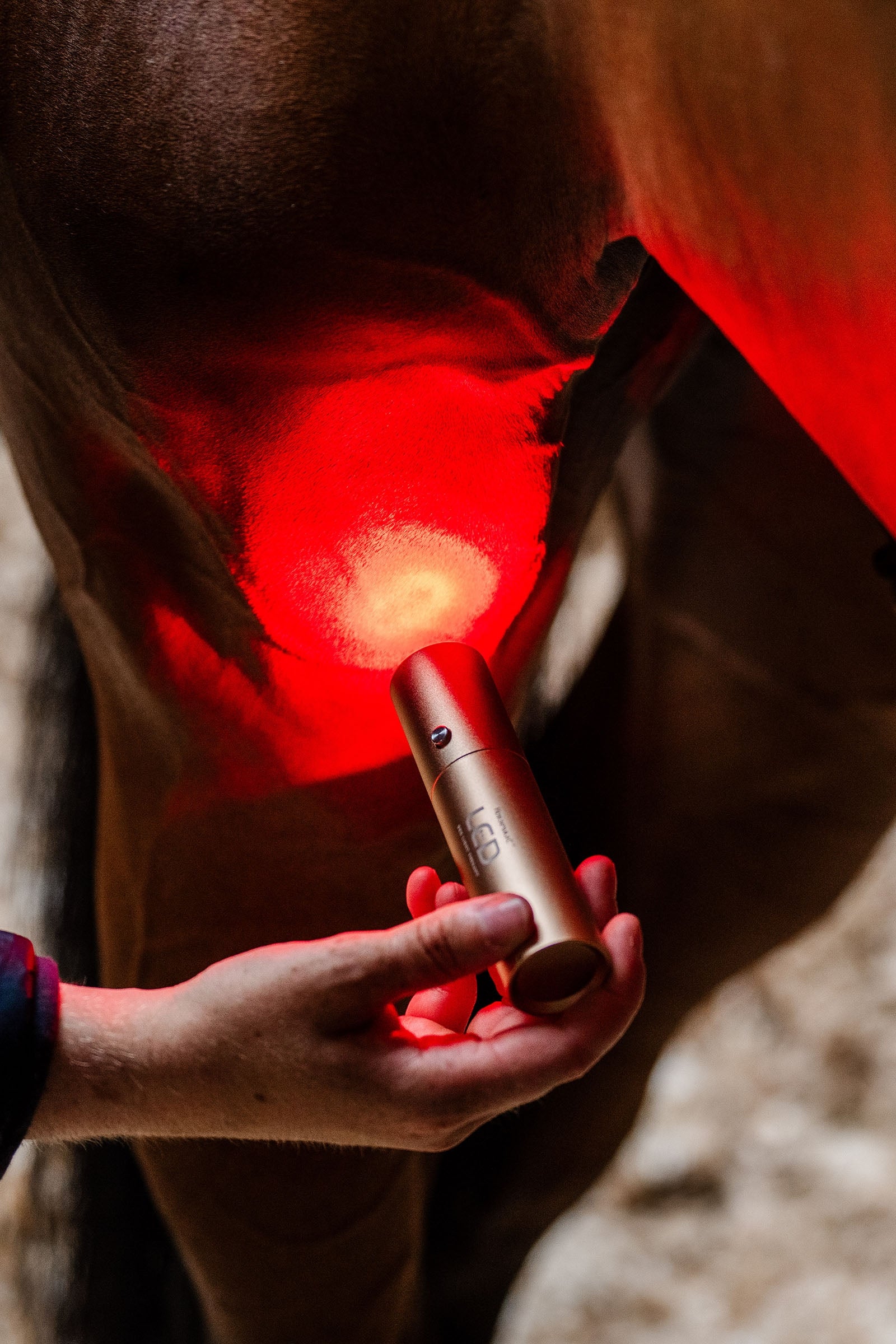 Horseware LED Red Light Therapy Wand Horse Rugs