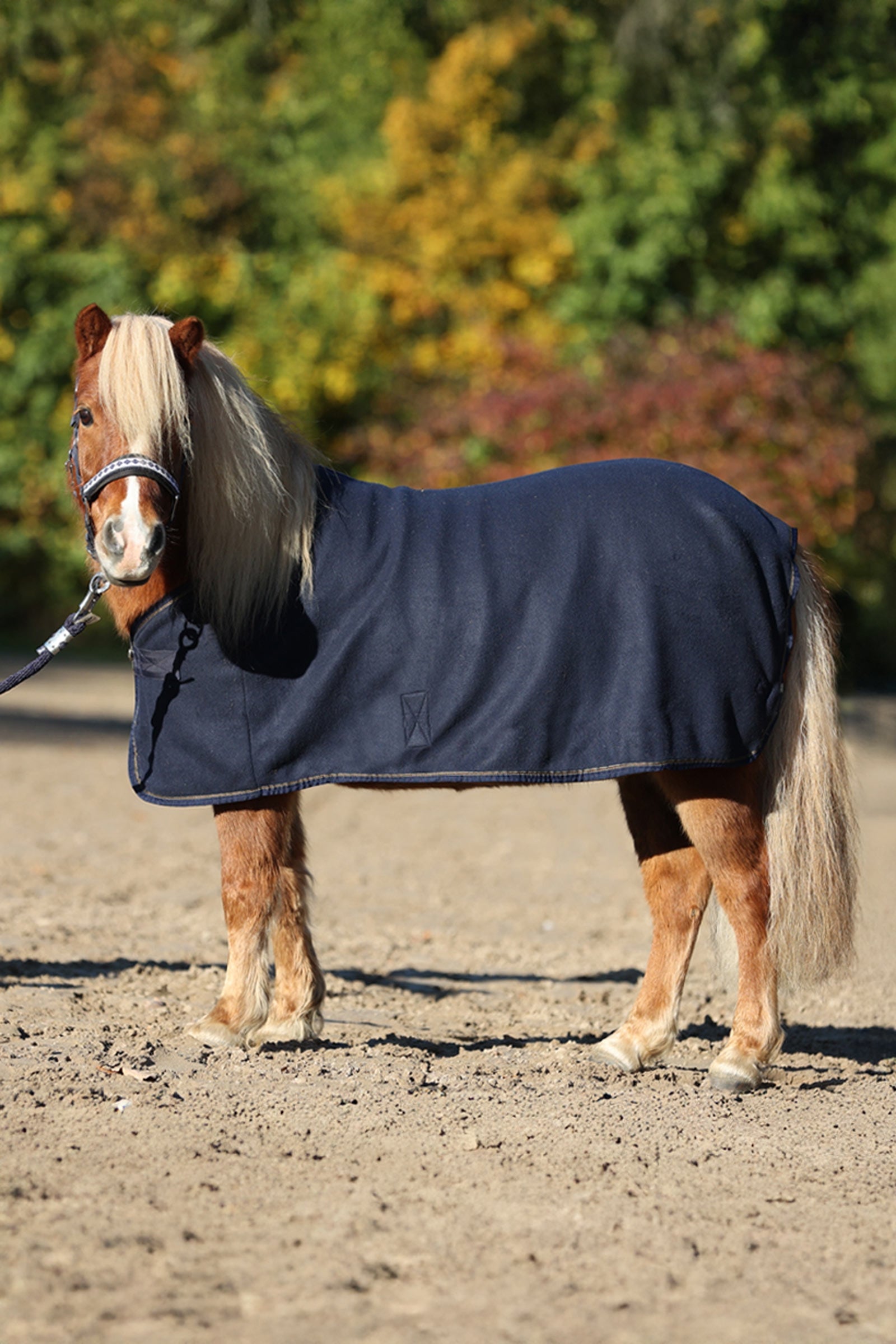 Kavalkade Ecoline Shetty Fleece Cooler Coperte per cavalli