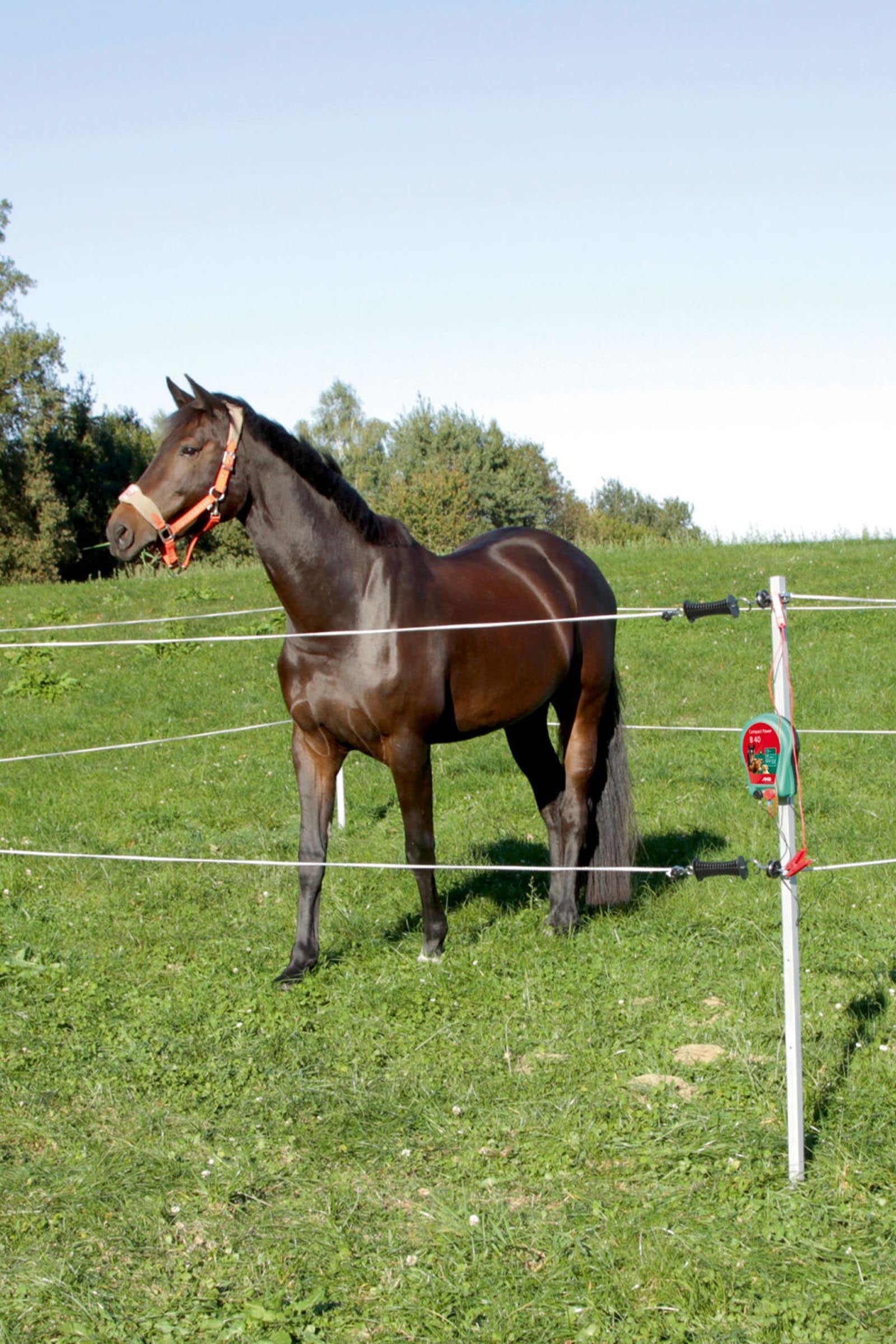 Corral CORRAL Mobile Paddock (7 X 7 m) With Fence Fencing Supplies