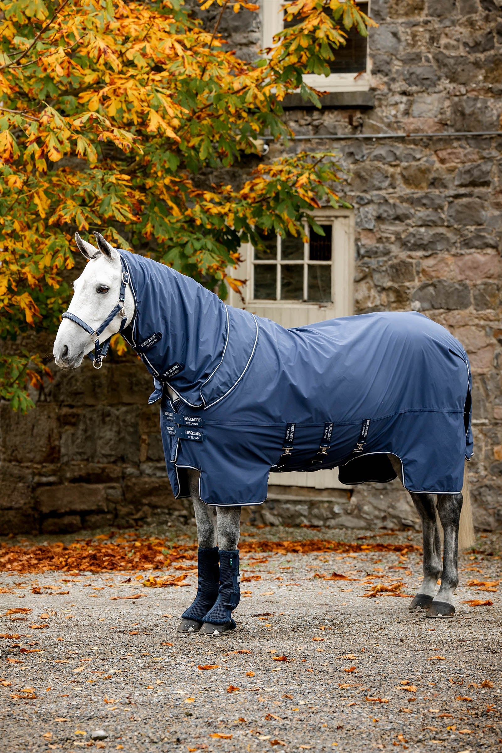 Horseware Show Ready coperta Coperte per cavalli