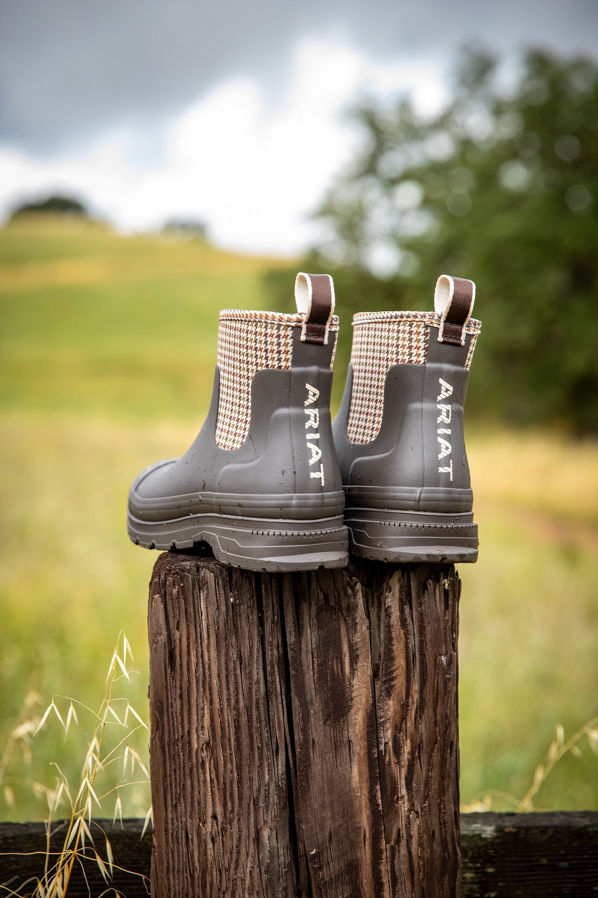 Ariat Kelmarsh Shortie Women's Rubber Boot Riding Boots & Riding Shoes