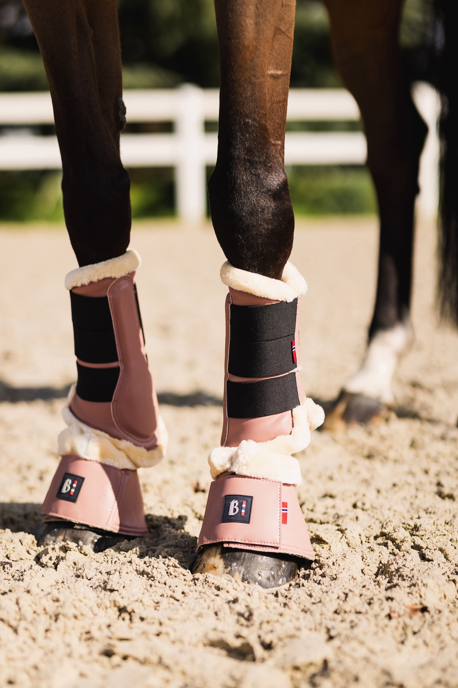 B Vertigo Empowerment Bell Boot Leg Protection & Hoof Protection for Horses