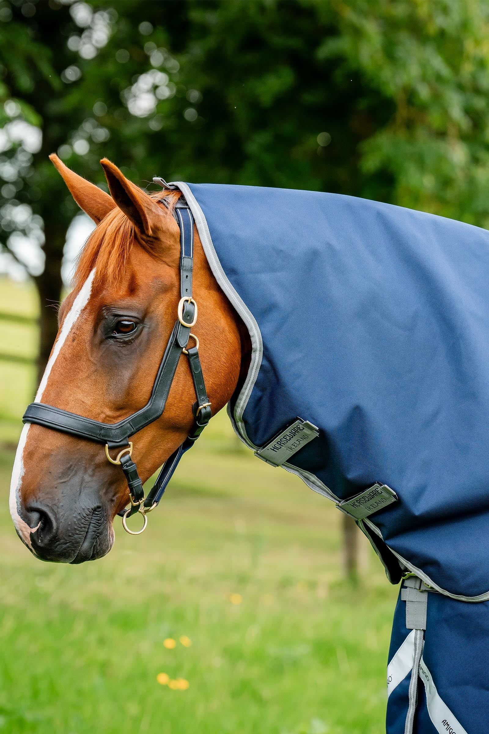 Horseware Amigo Bravo 12 Hood 150g Coperte per cavalli