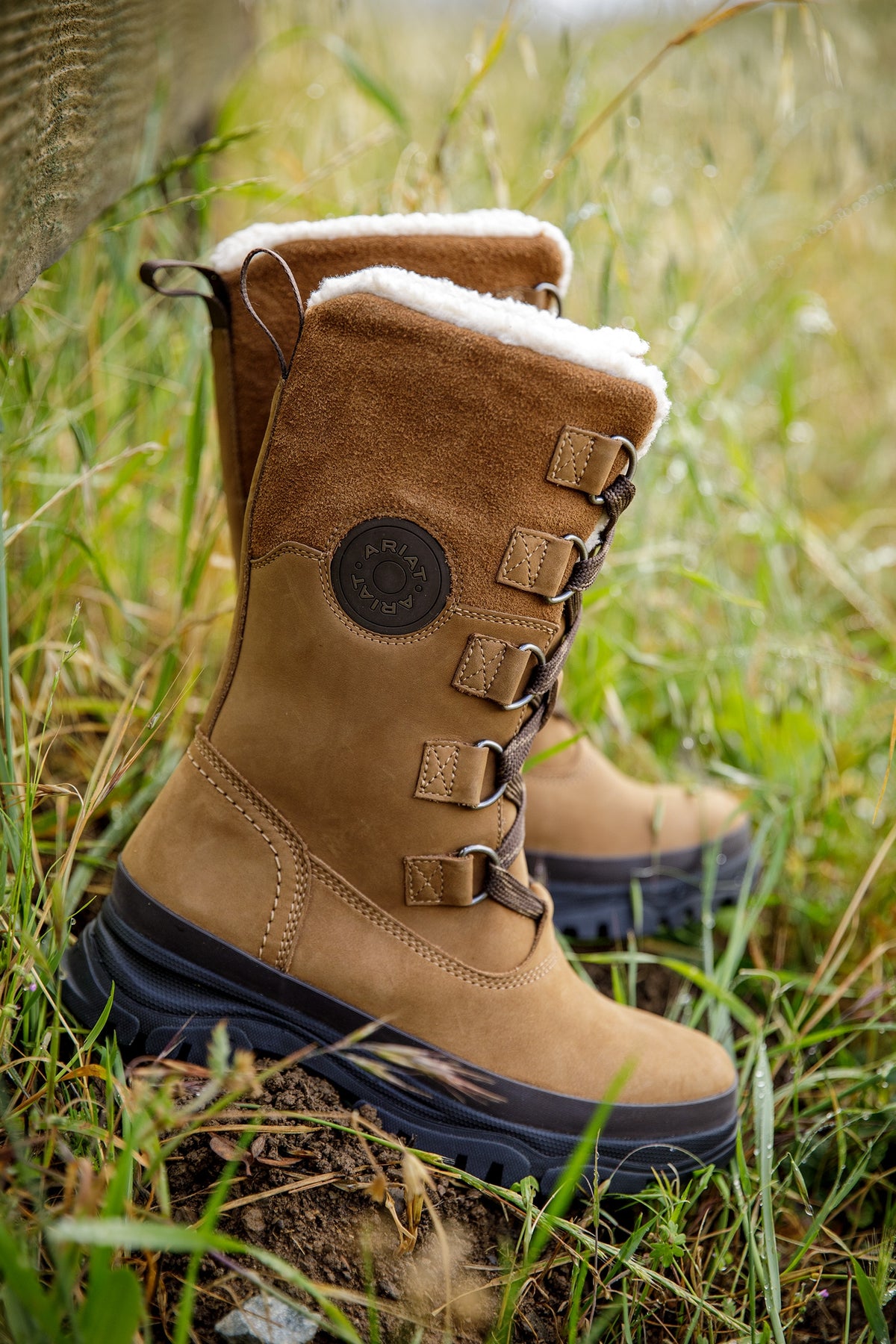 Ariat Women's Wetherby Waterproof Insulated Boot Riding Boots & Riding Shoes