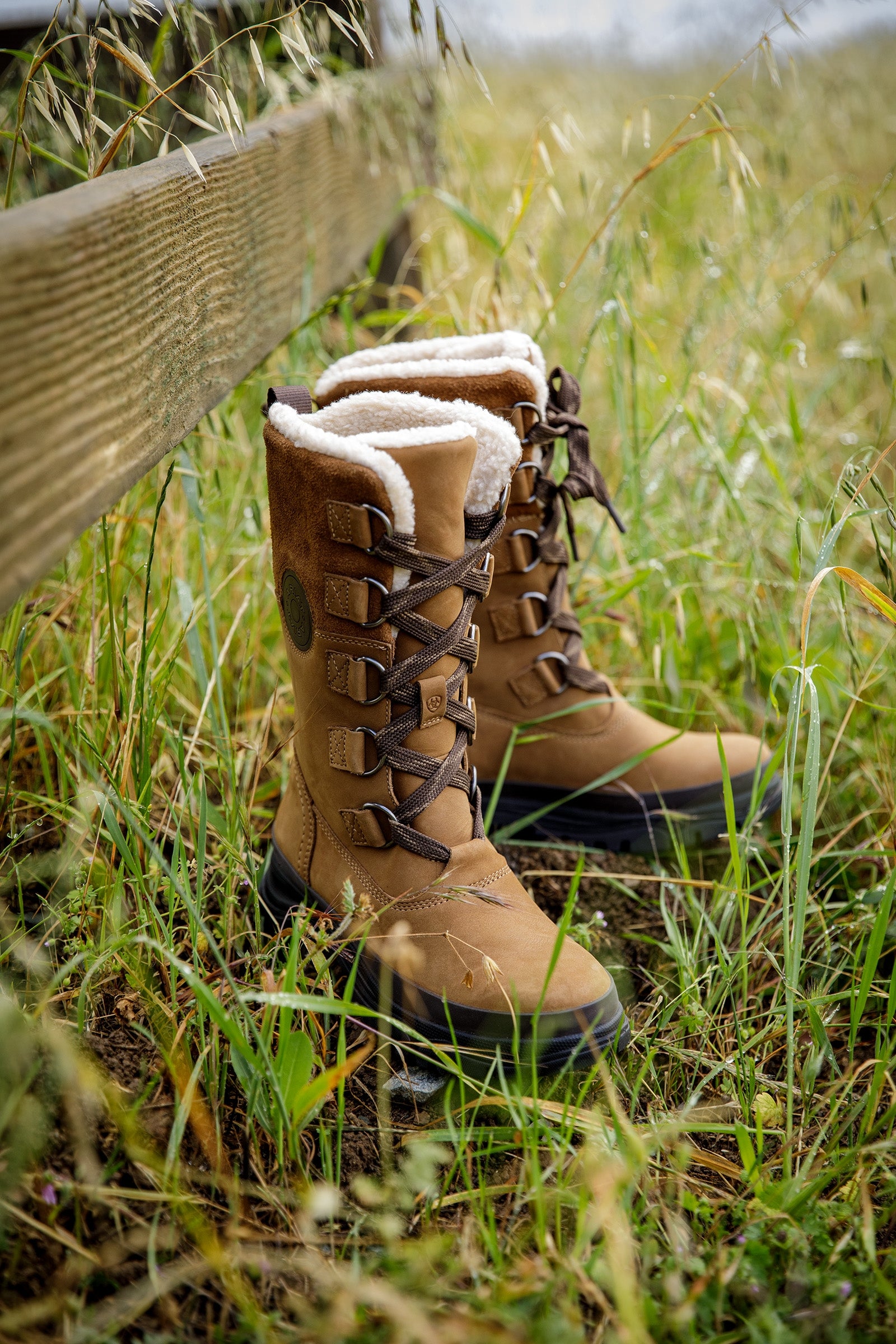 Ariat Women's Wetherby Waterproof Insulated Boot Riding Boots & Riding Shoes