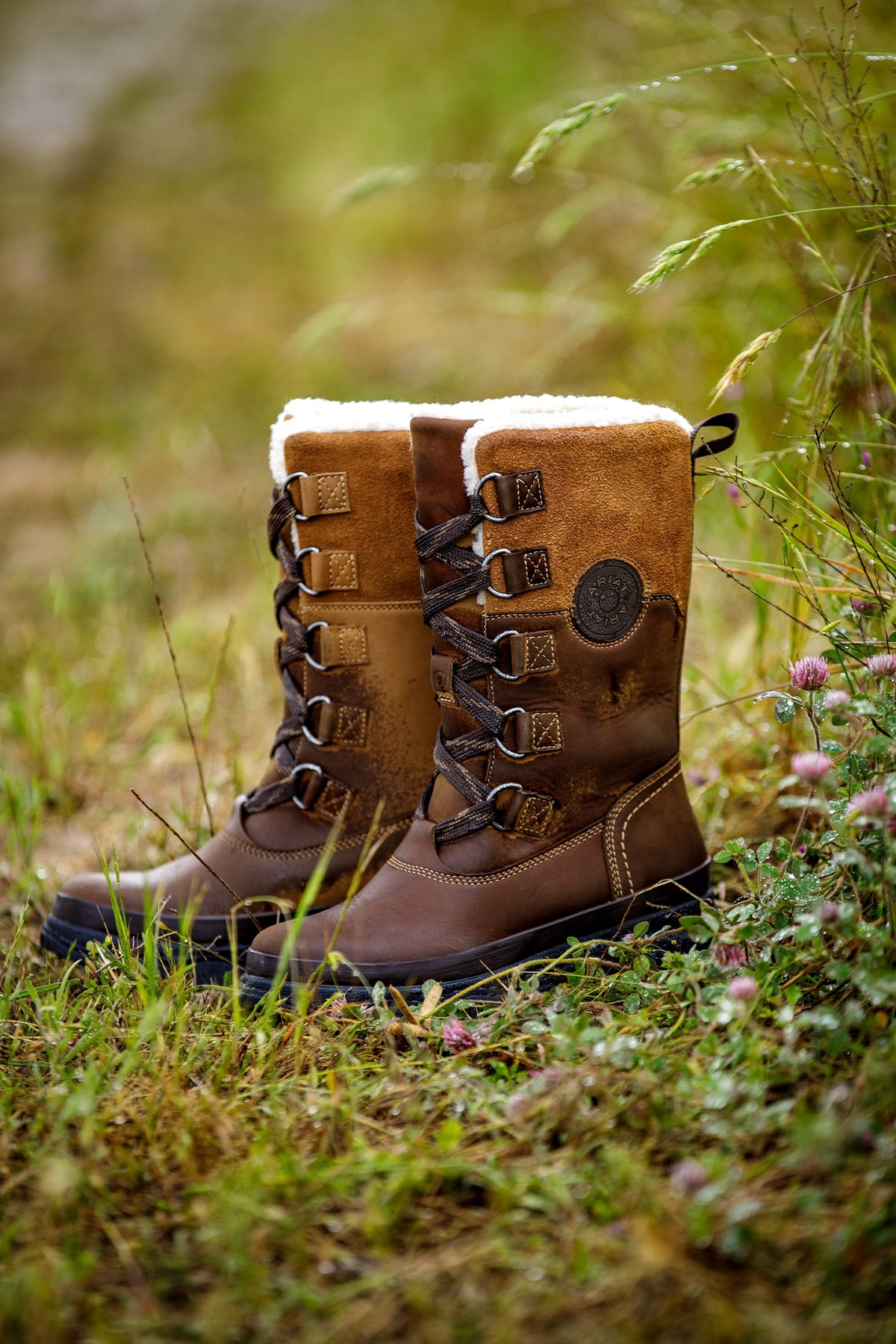 Ariat Women's Wetherby Waterproof Insulated Boot Riding Boots & Riding Shoes