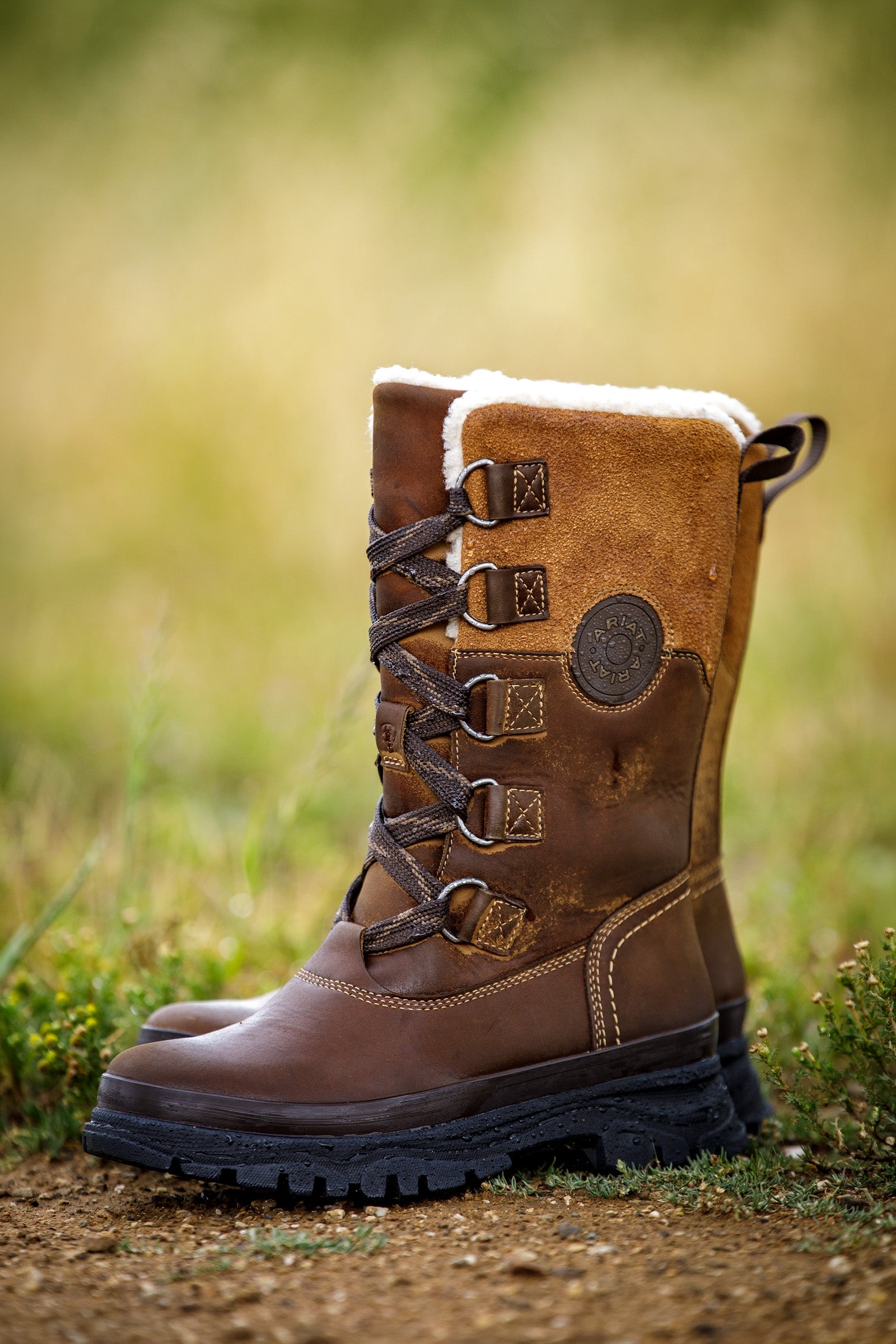 Ariat Women's Wetherby Waterproof Insulated Boot Riding Boots & Riding Shoes