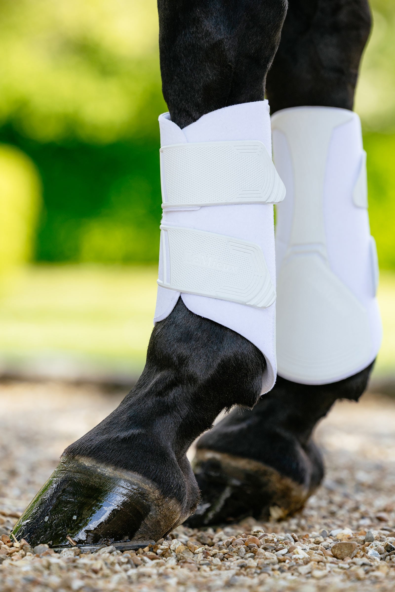 LeMieux Technical stinchiere dressage Leg Protection & Hoof Protection for Horses