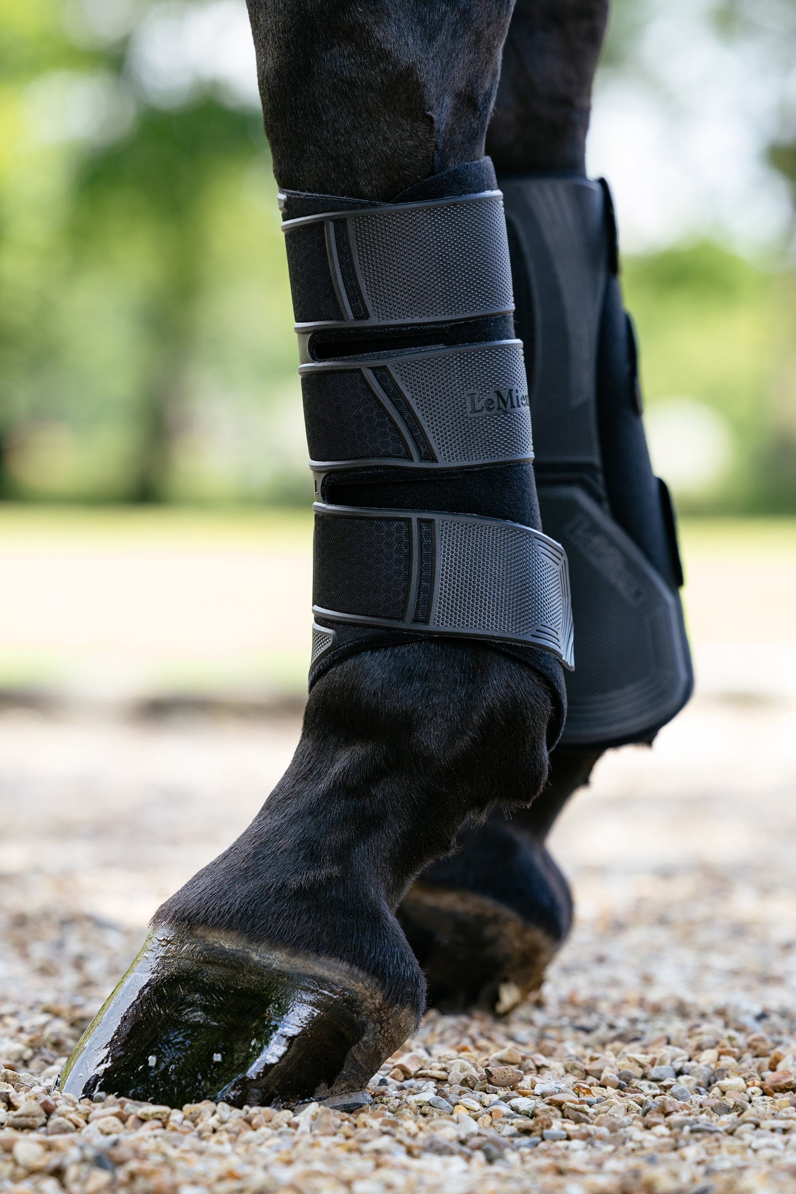 LeMieux Technical stinchiere dressage Leg Protection & Hoof Protection for Horses