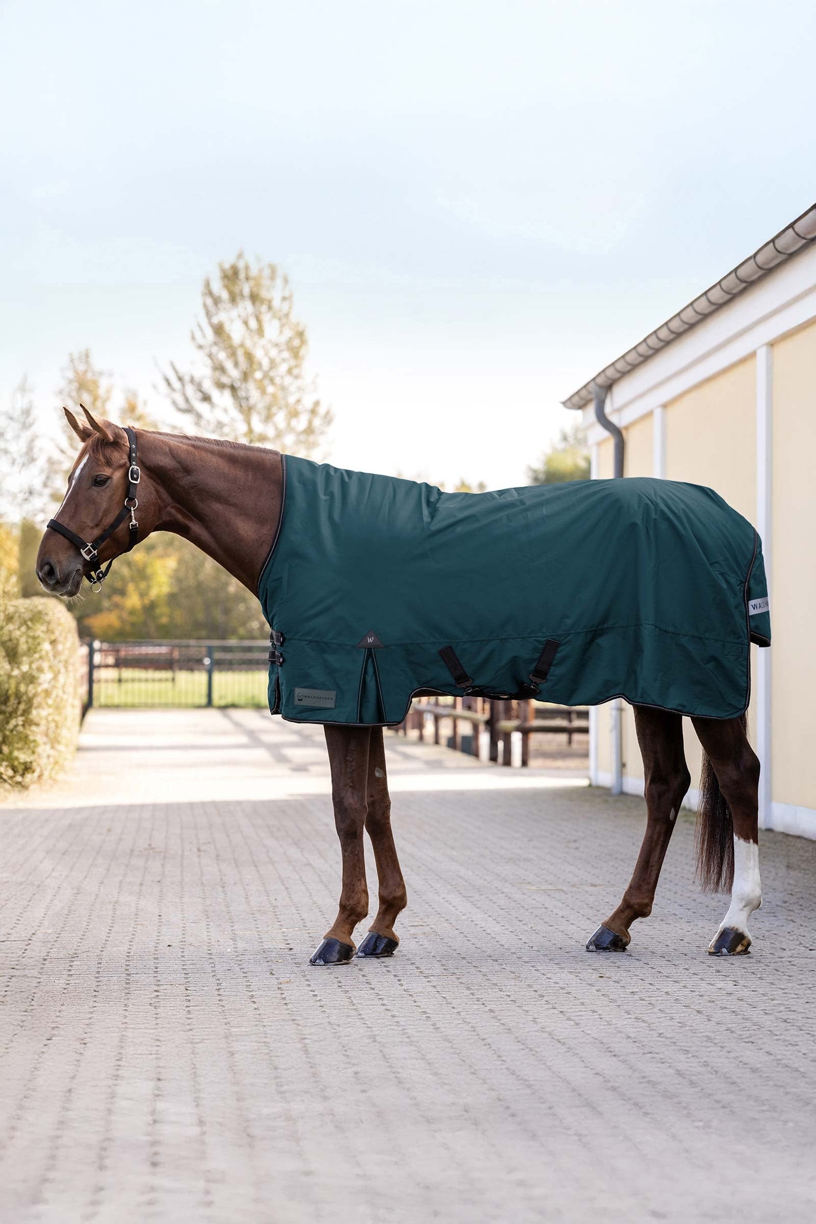 Waldhausen Arctic Outdoor Rug With High Neck, 100 g Coperte per cavalli