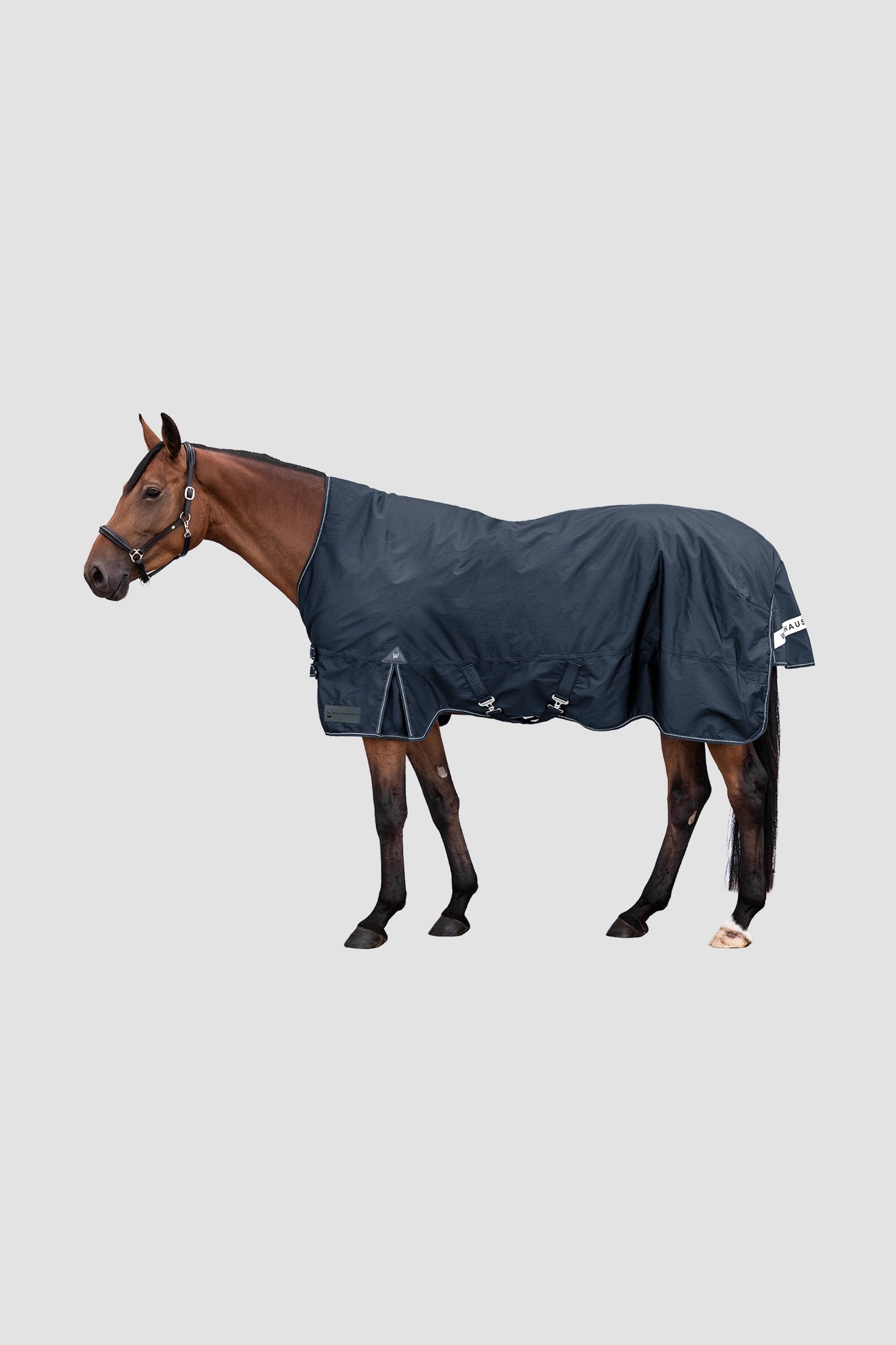 Waldhausen Arctic Outdoor Rug With High Neck, 100 g Coperte per cavalli
