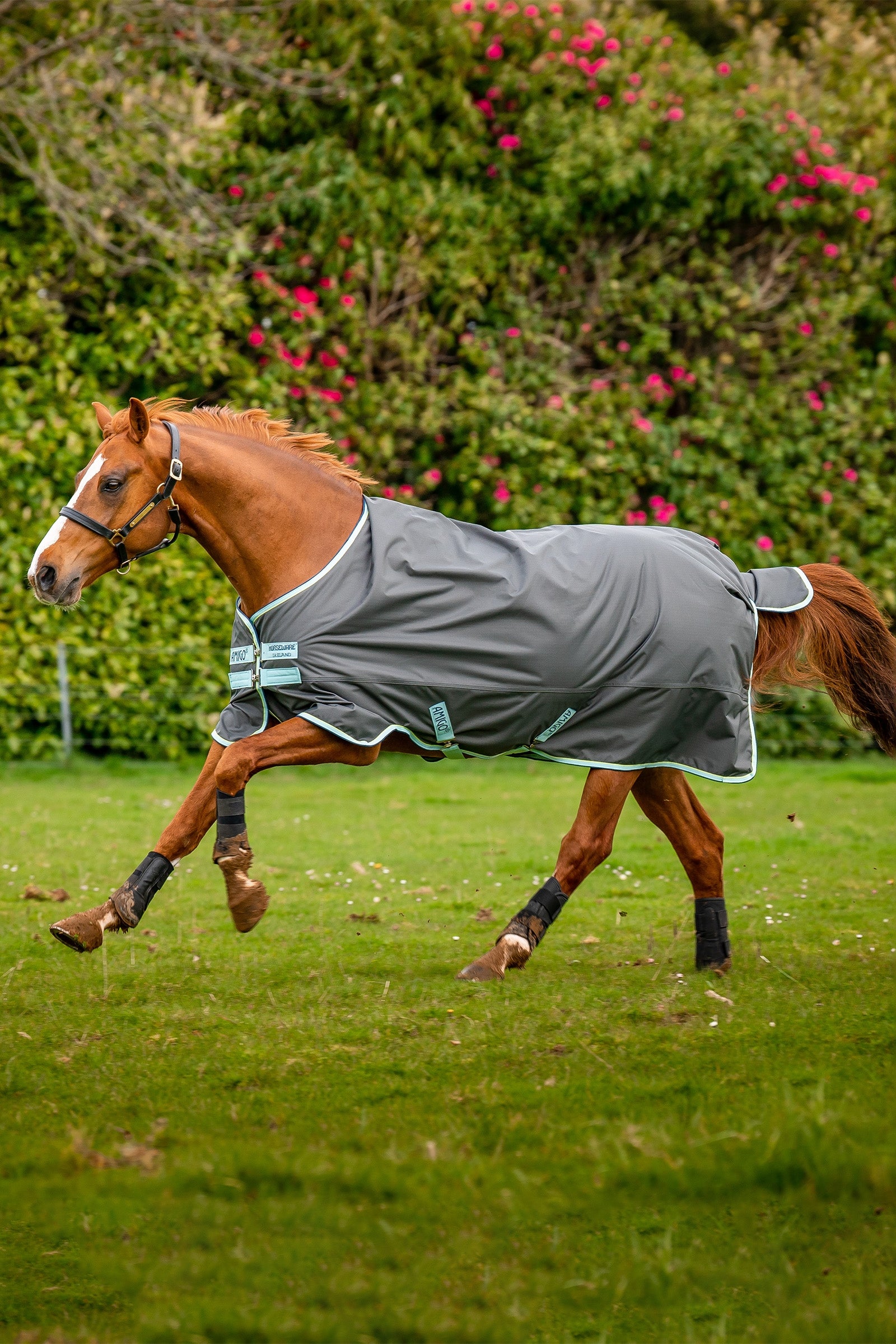 Horseware Amigo Hero Ripstop Turnout Rug With Fleece Lining, 50g Horse Rugs