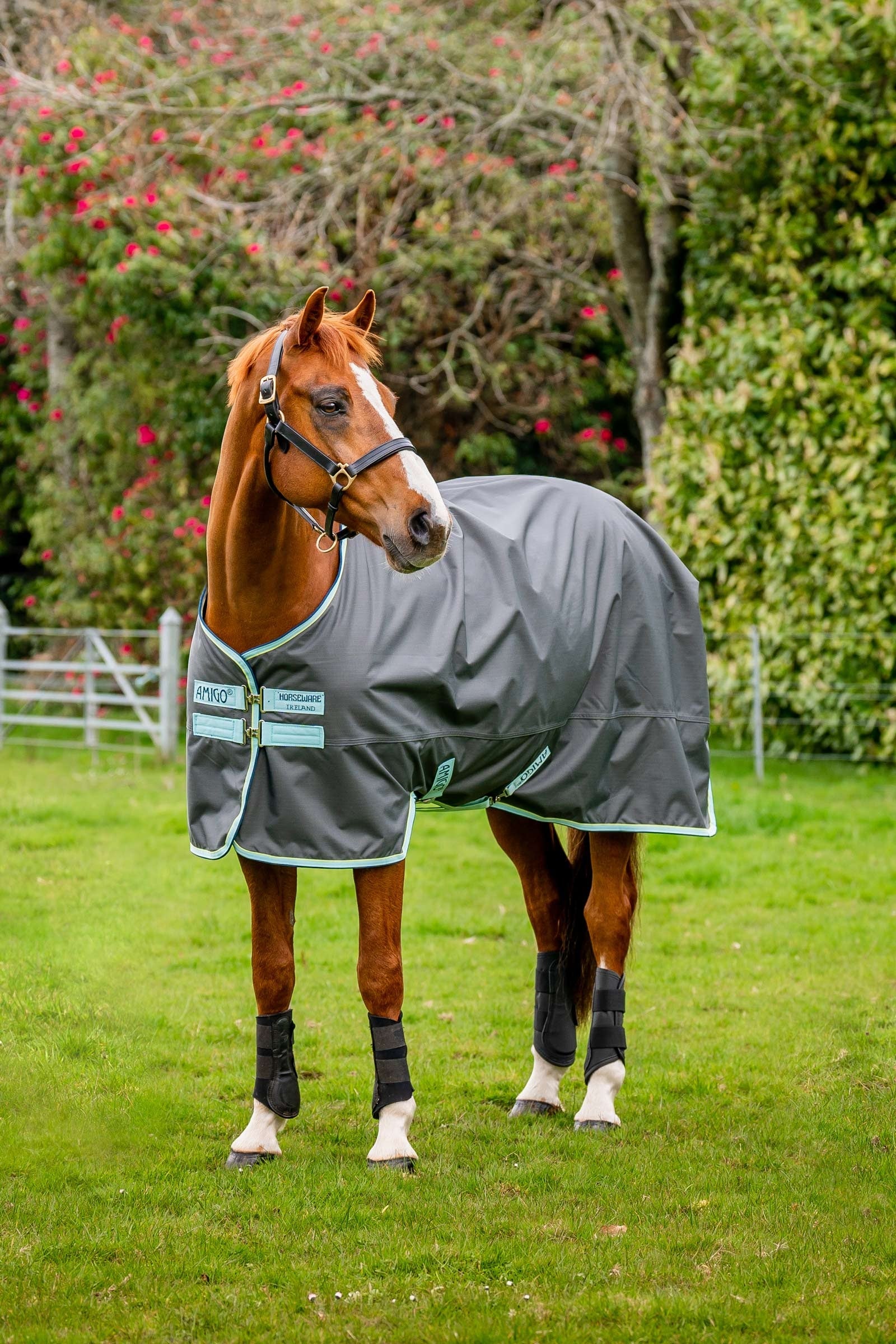 Horseware Amigo Hero Ripstop coperta da turnout con fodera in pile, 50g Coperte per cavalli