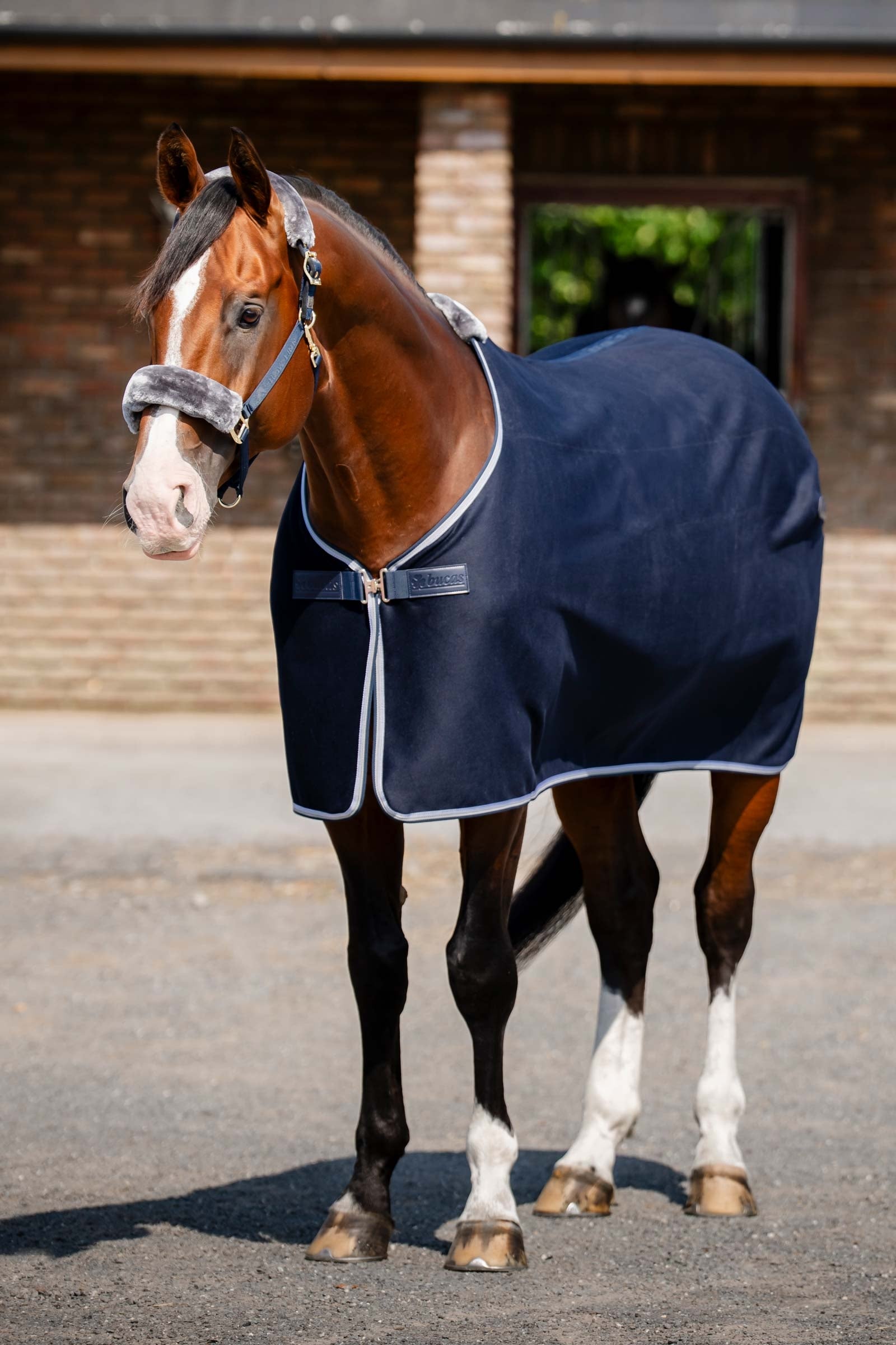 Bucas Emerald Wool Rug Coperte per cavalli