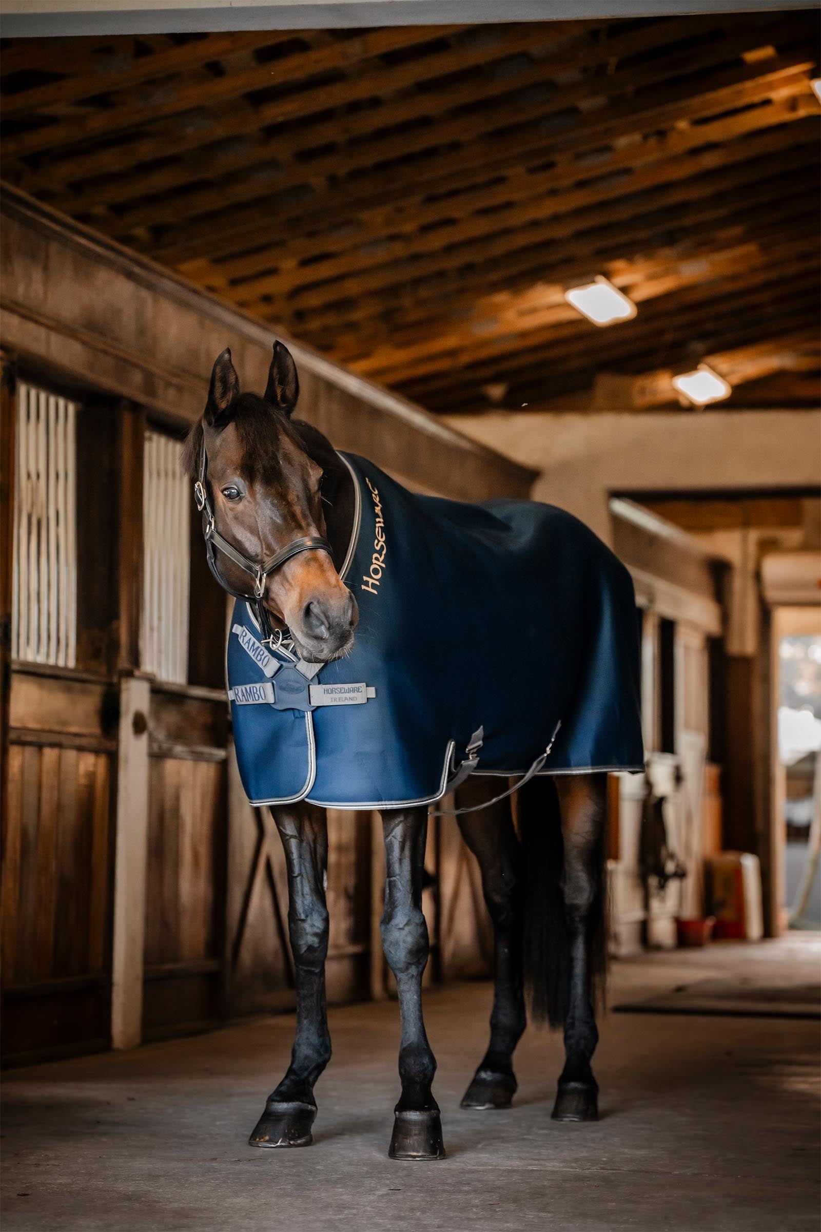 Horseware Rambo Airmax Cooler coperta asciugante Coperte per cavalli