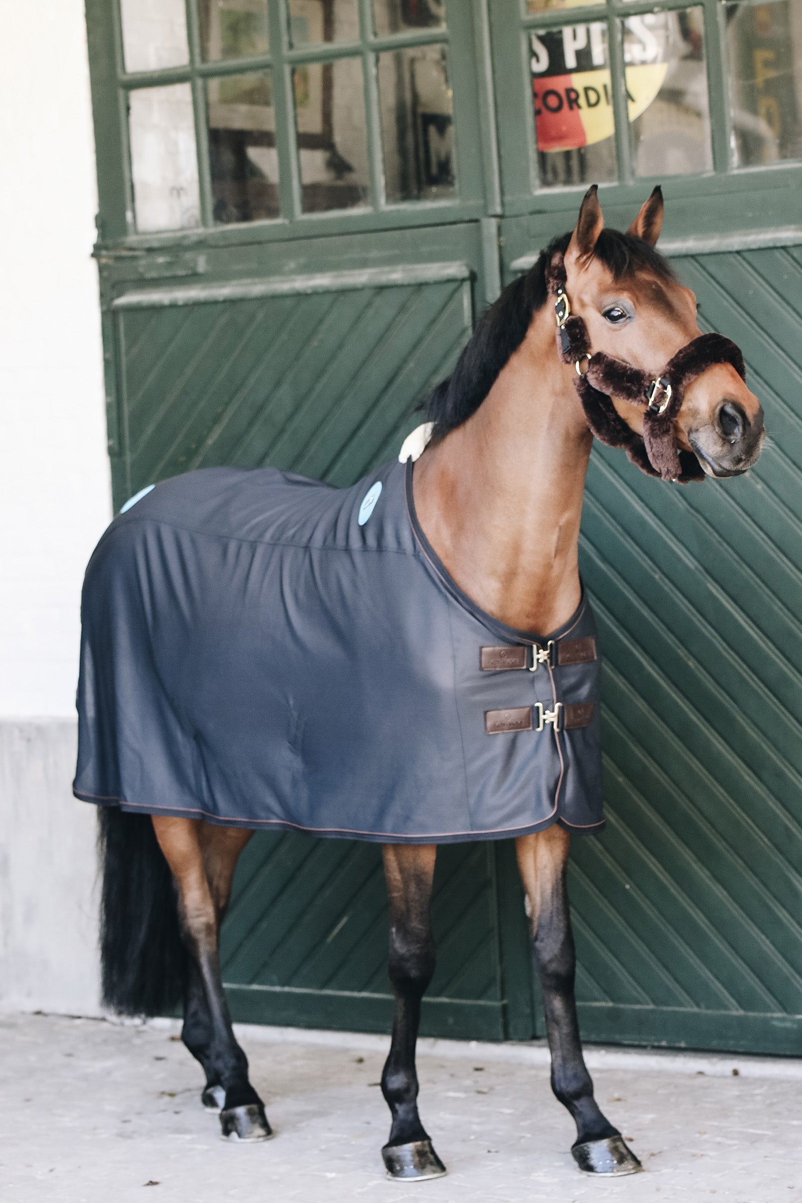 Kentucky Horsewear Tappeto magnetico Recuptex Magnetic Coperte per cavalli