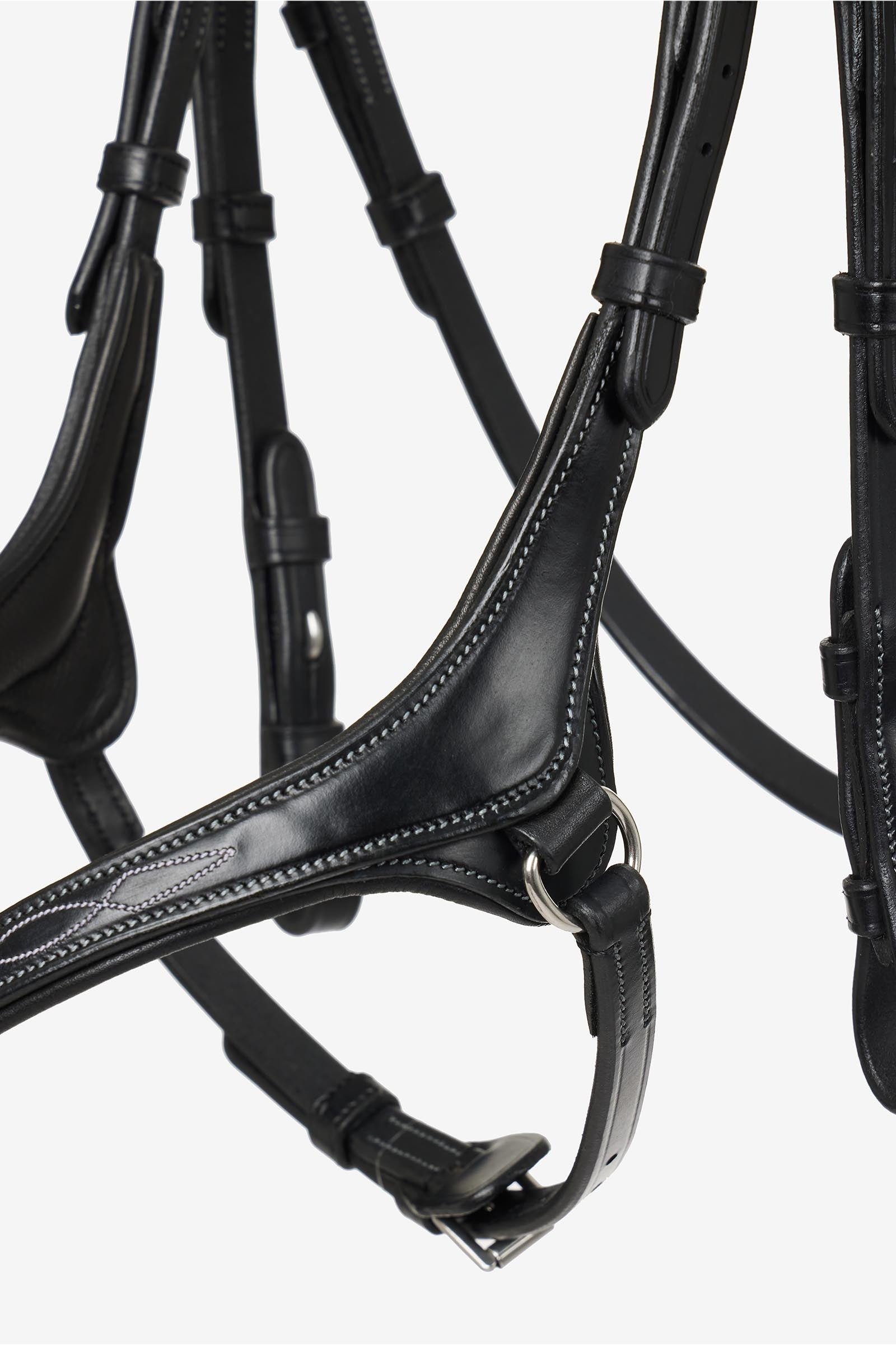 LeMieux Kudos Grackle Bridle Bridles & Reins