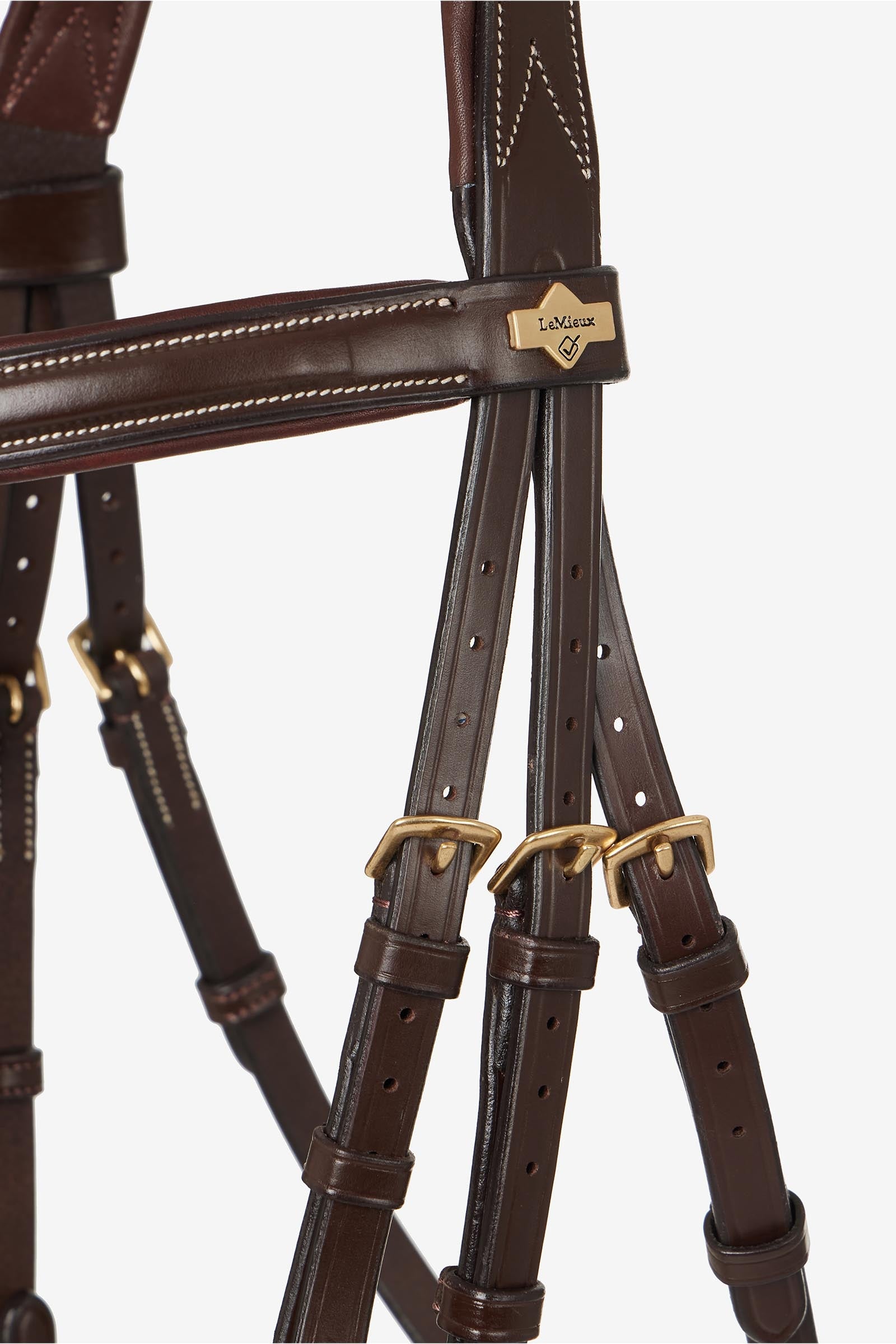 LeMieux Kudos Grackle Bridle Bridles & Reins