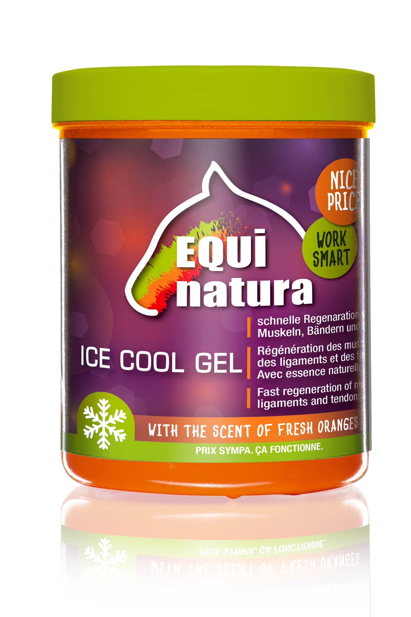 Equinatura Ice Cool Gel, 600 ml Prodotti per la salute