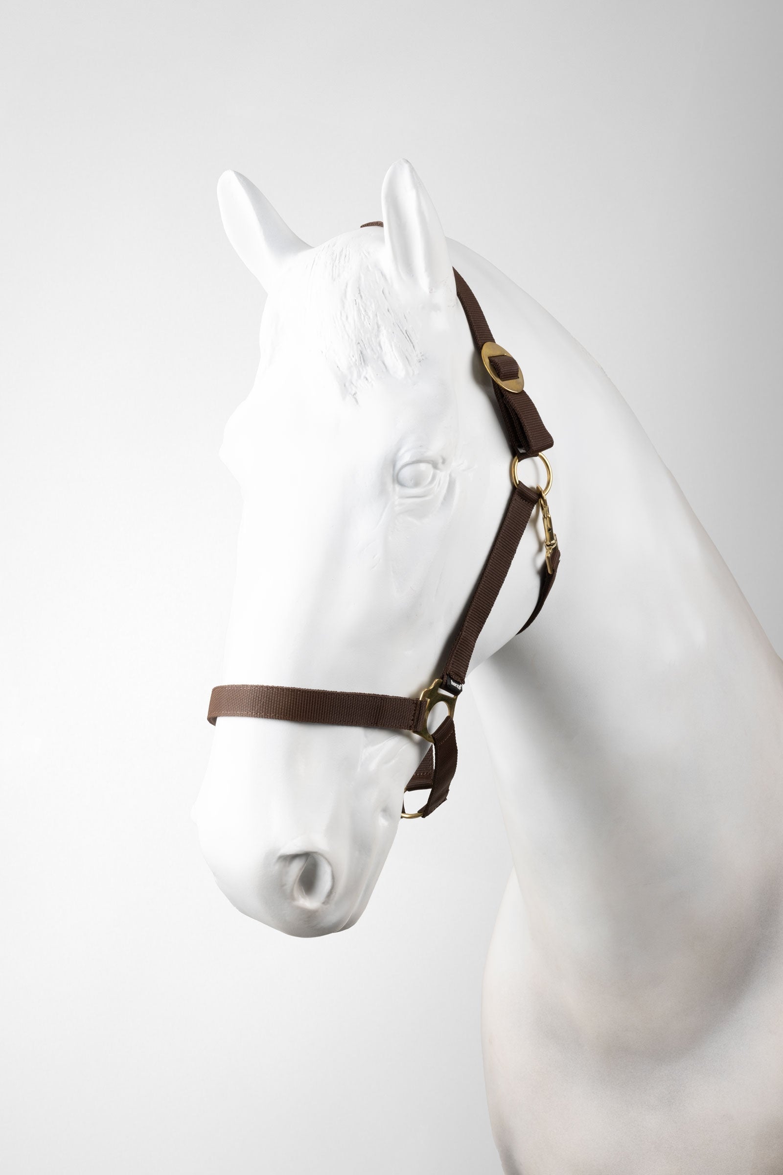 Horze cavezza e longhina set (3 pezzi) Cavezze e guinsagli