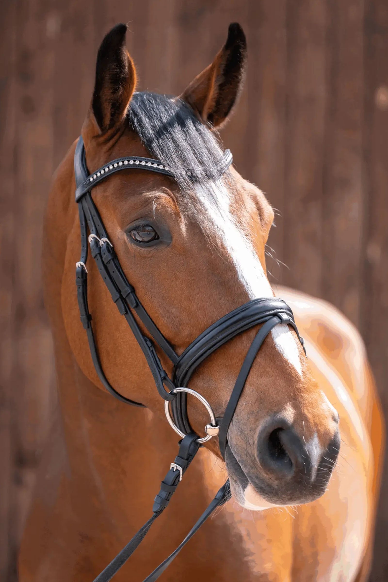 Sprenger Novocontact Loose Ring Snaffle 14mm Single Jointed Sensogan 70mm Stainless Steel Rings Horse Bits