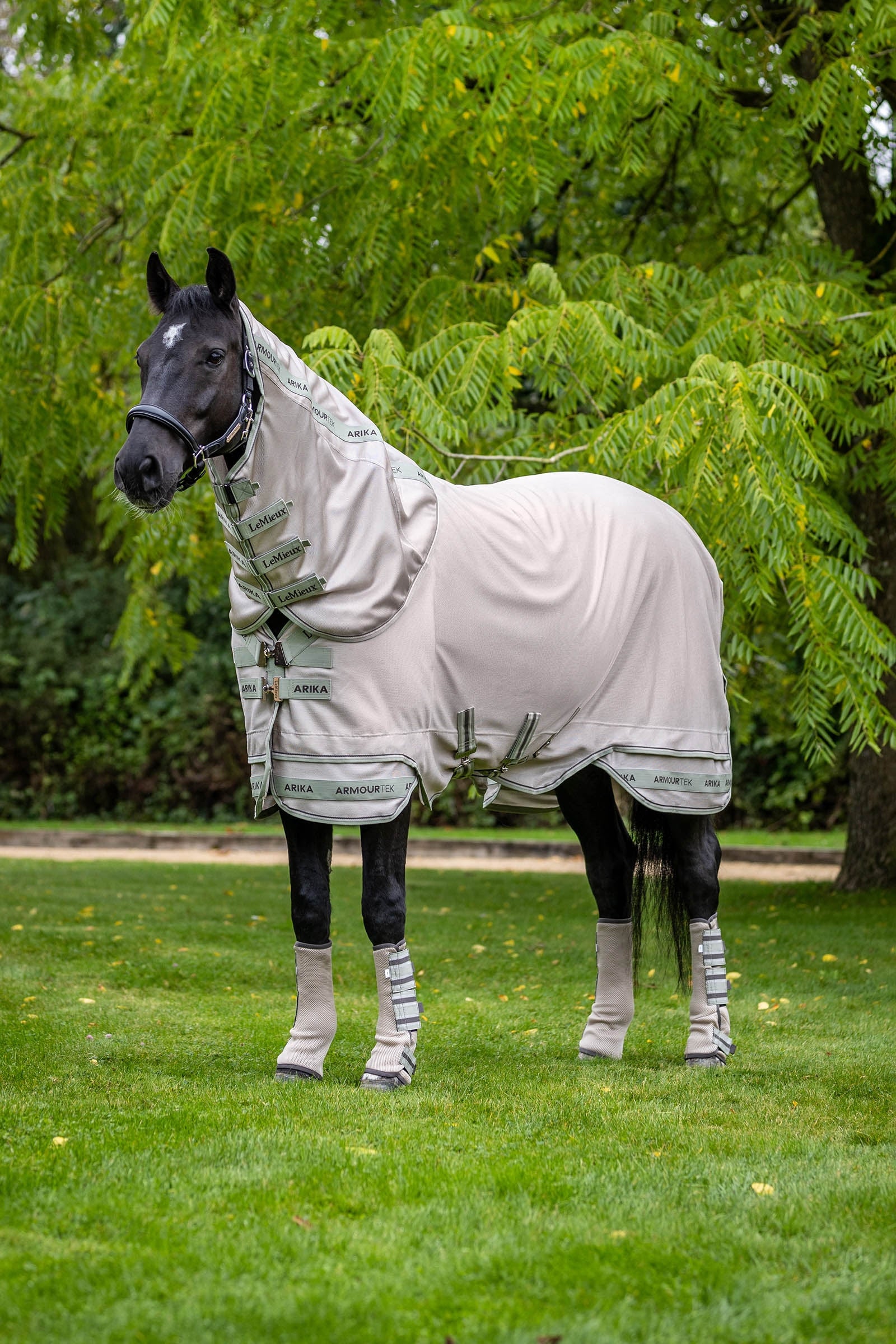 LeMieux Arika Armour-Tek Coperta Anti-Mosche con collo removibile Coperte per cavalli