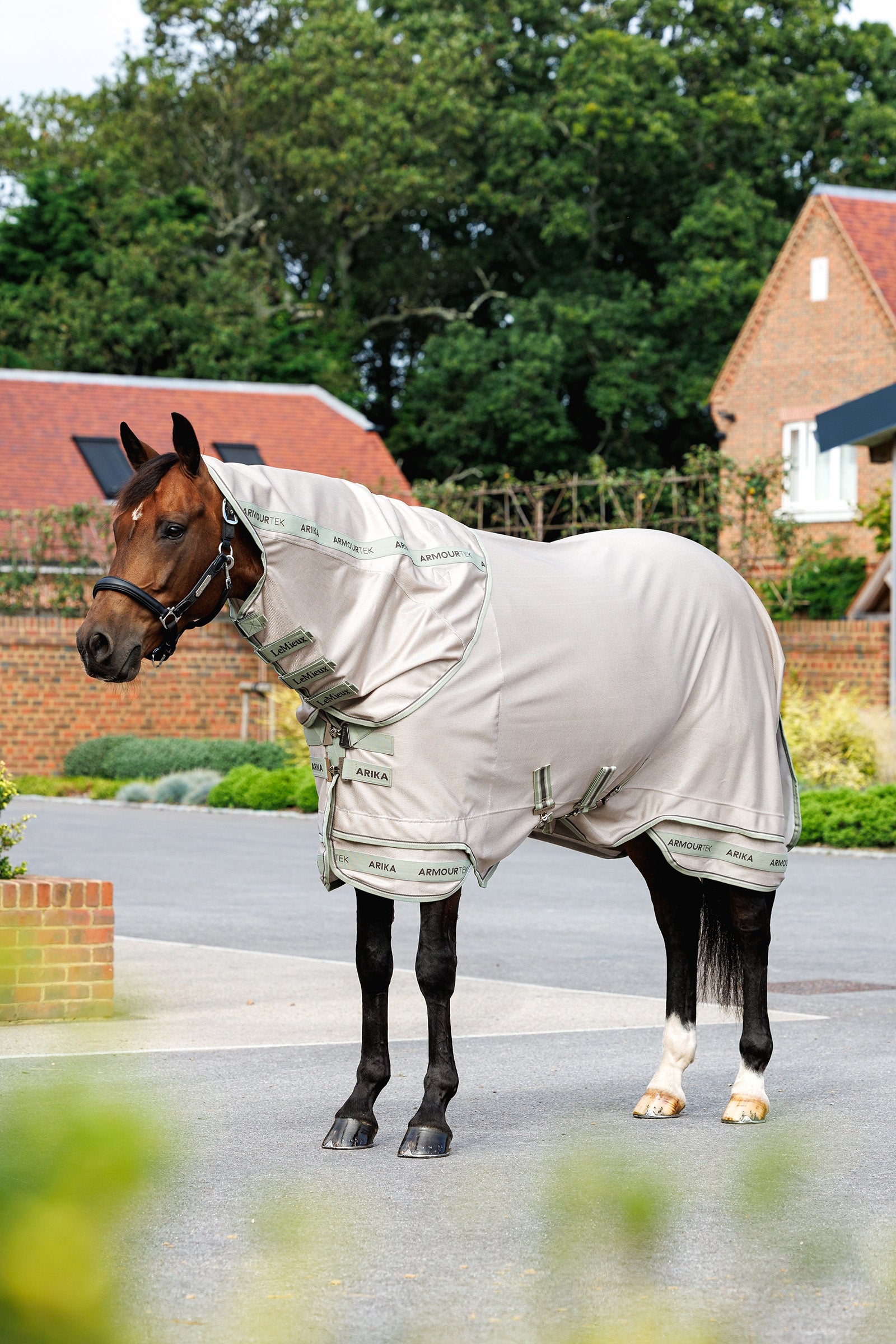 LeMieux Arika Armour-Tek Fly Rug With Detachable Neck Horse Rugs