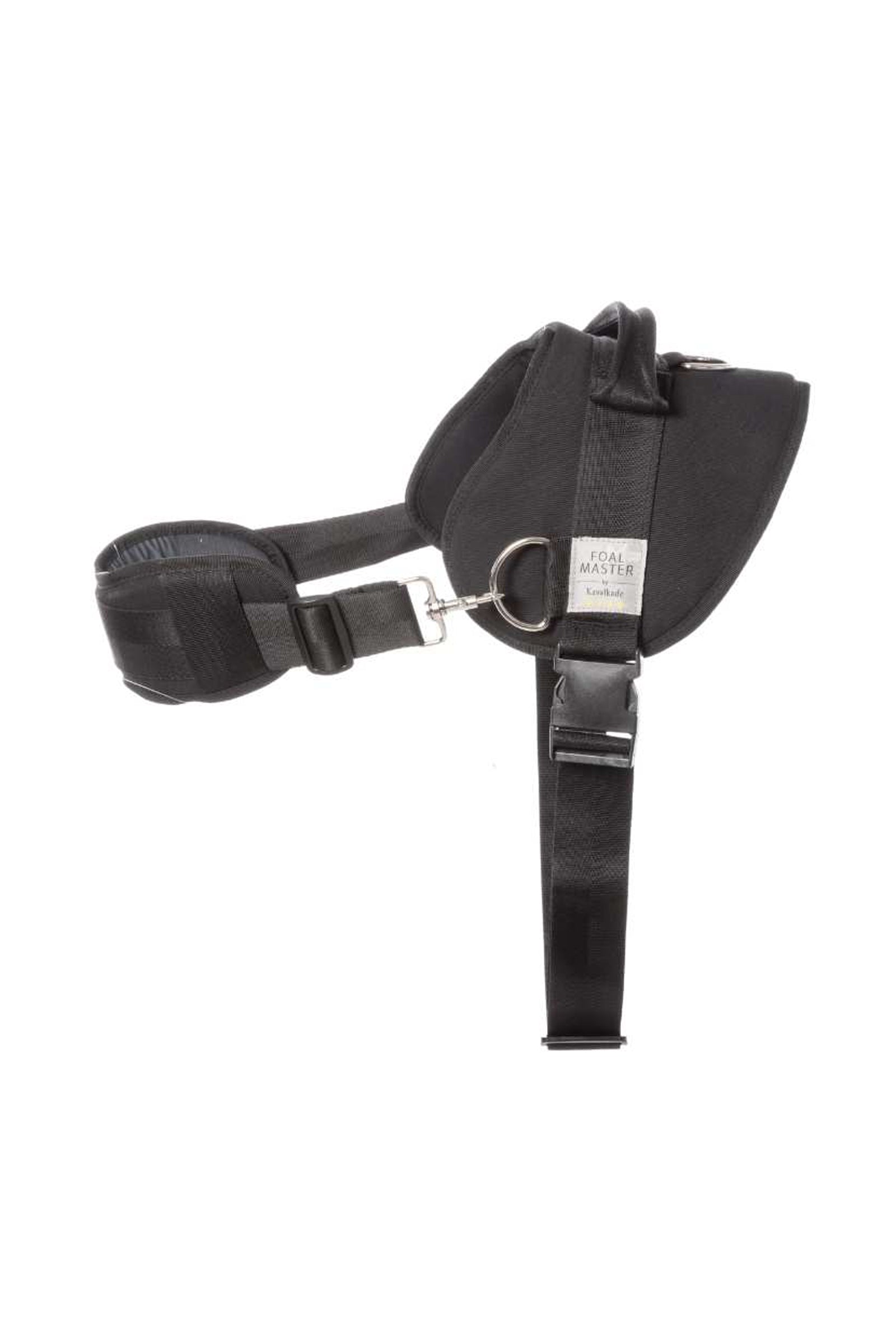 Kavalkade Foalmaster imbracatura per puledro con manico Pony e pony Shetland